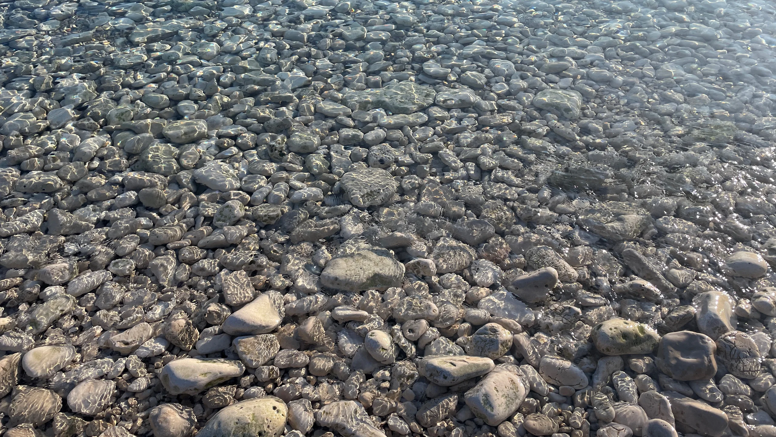 img_3241.webp