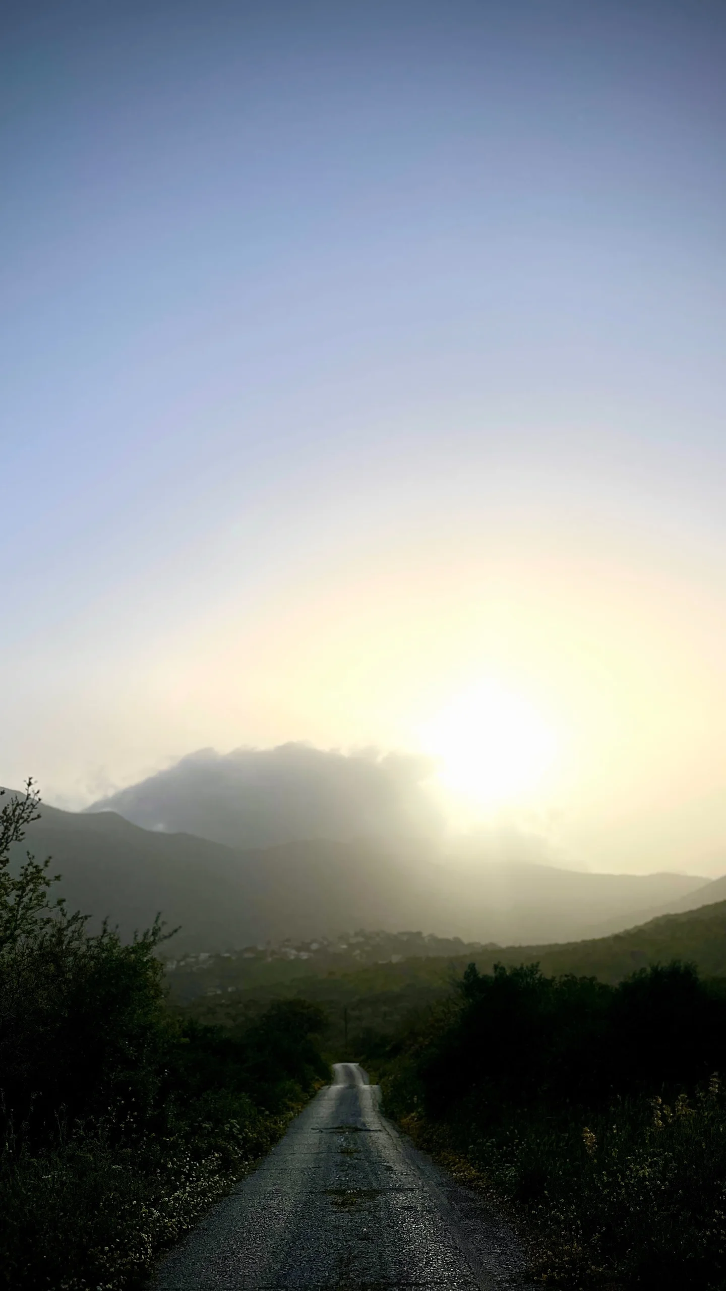 img_1267.webp