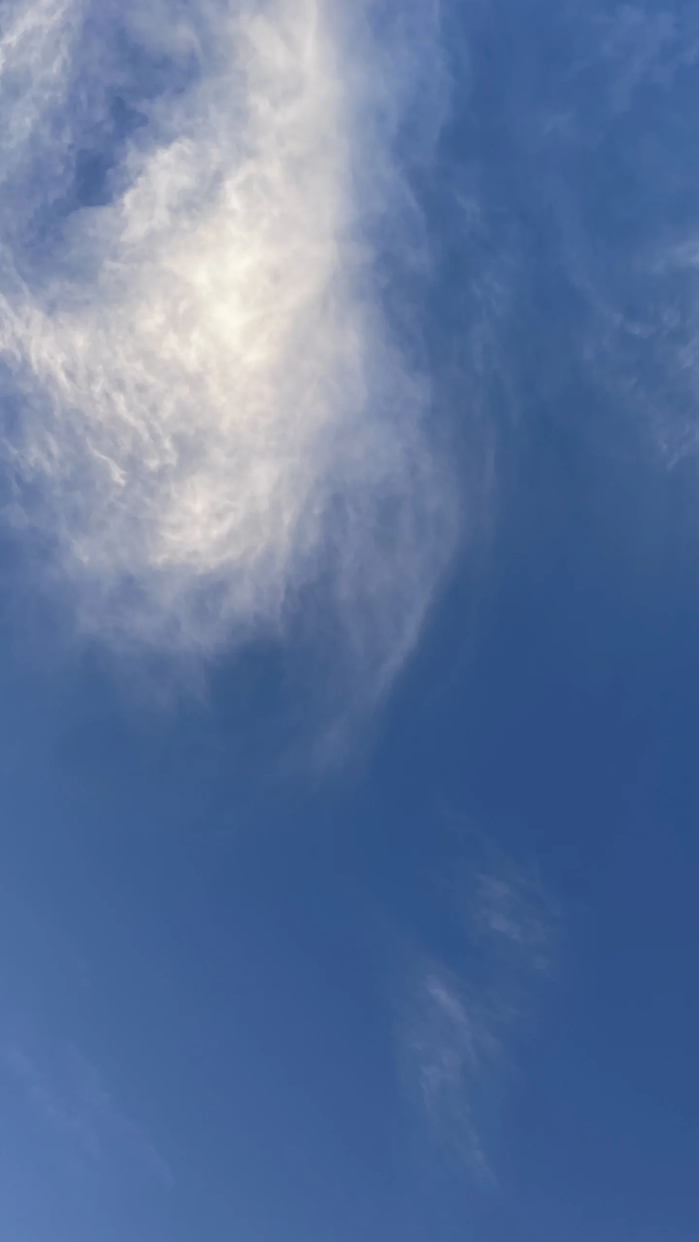 img_7386.webp
