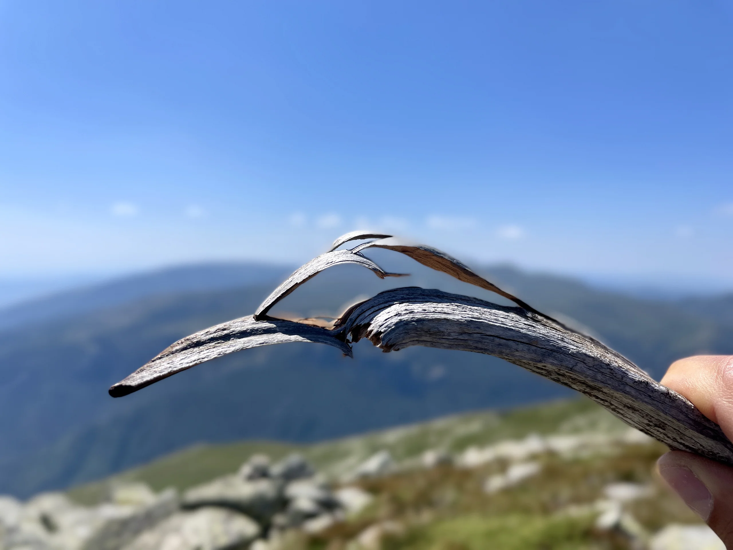 fc_20220721_0150