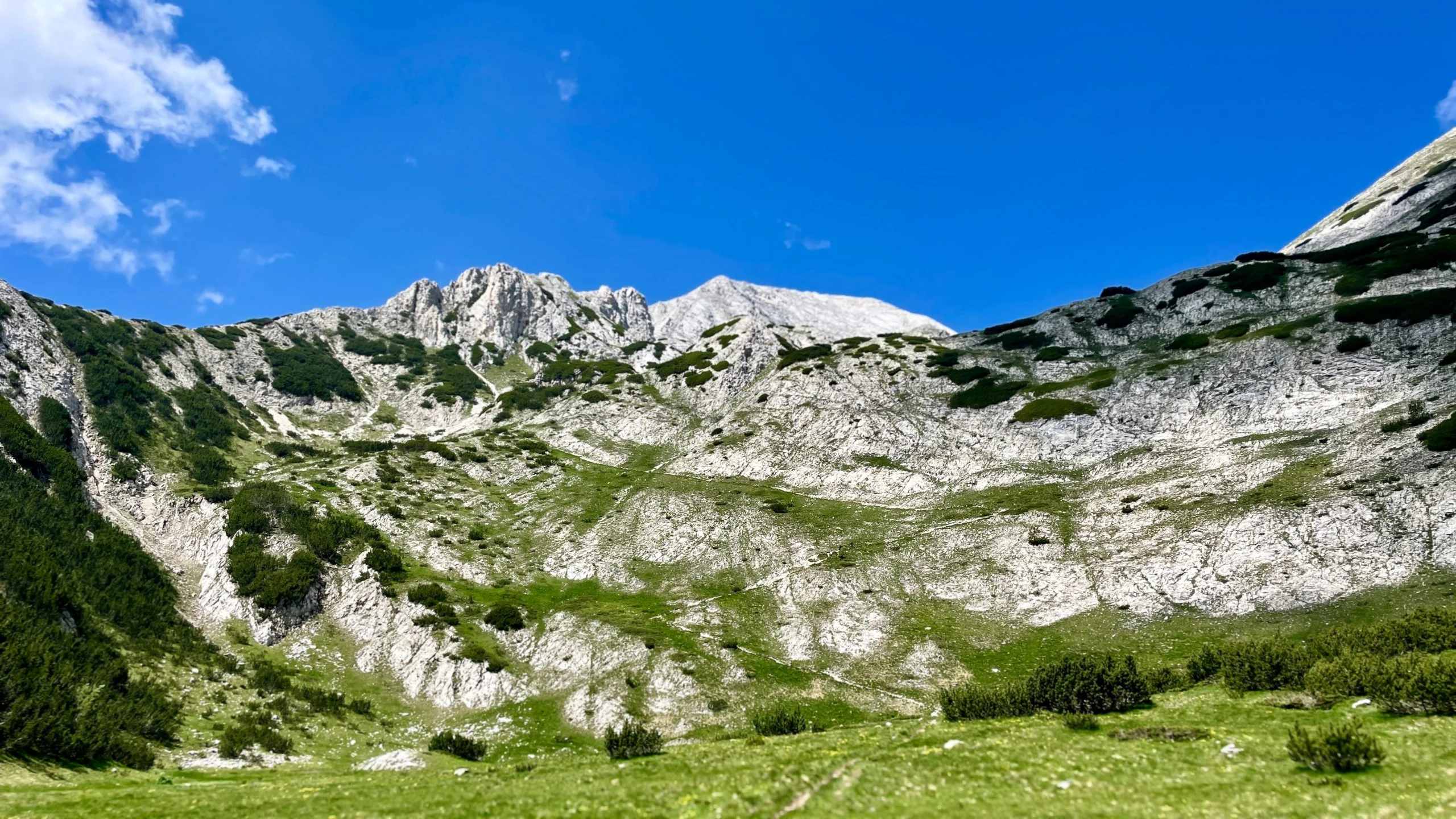 img_8771