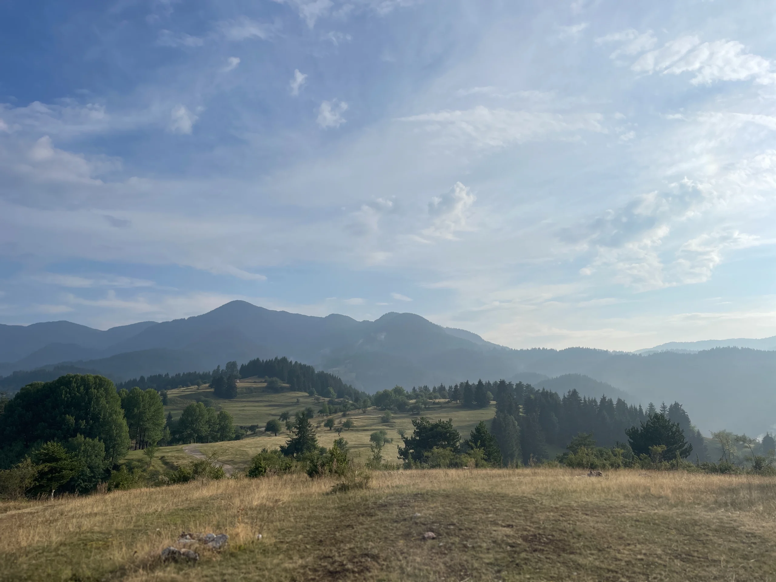 4B5D0C1F-1469-495F-9894-BF595D837333.webp