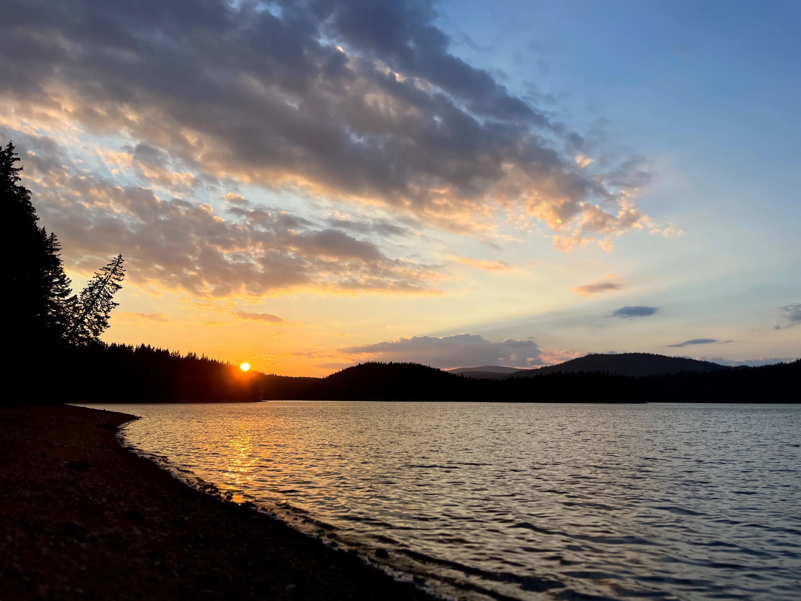 7F642E50-D037-4EA7-BD26-638C8130E49E.webp