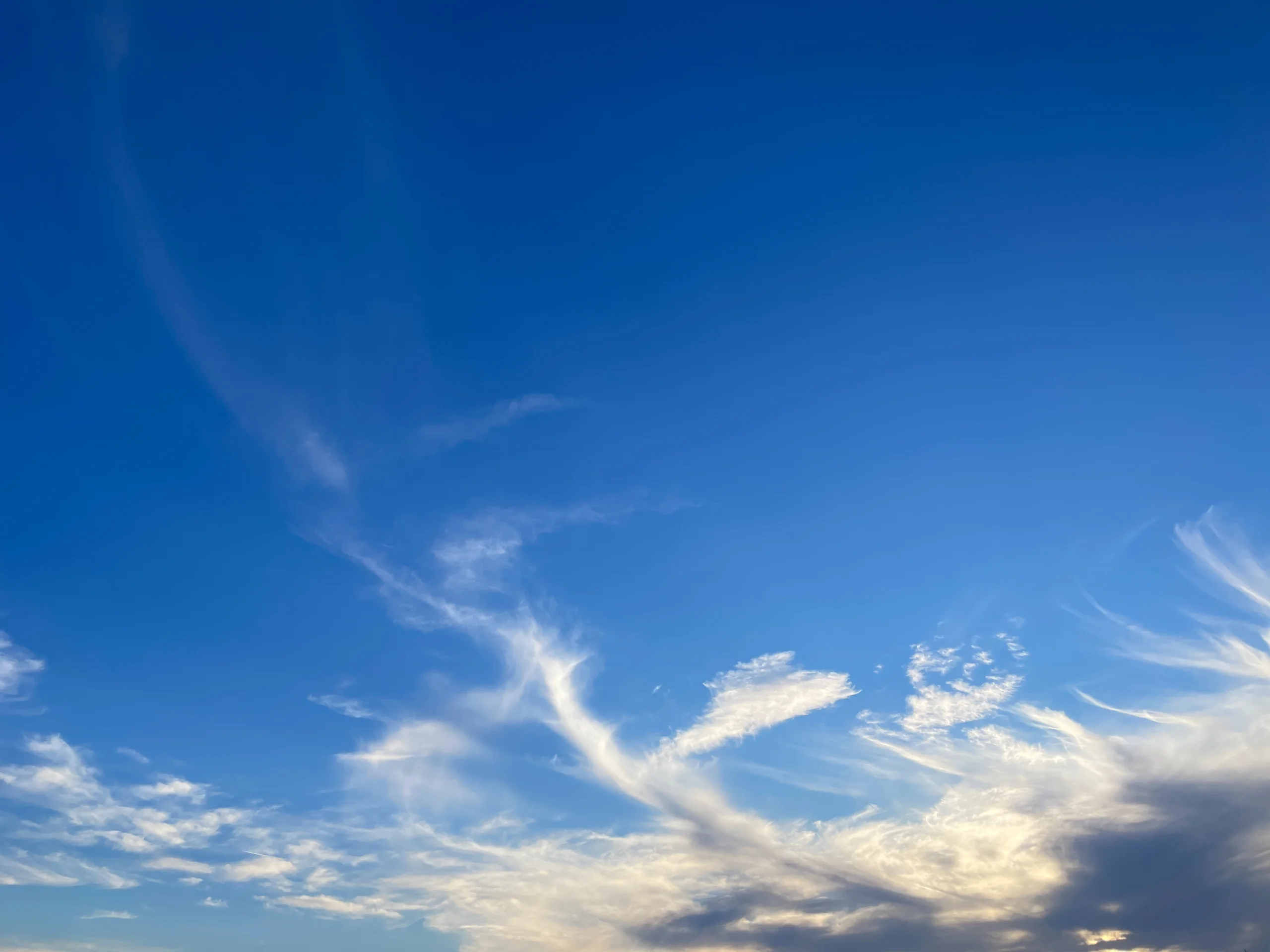 4D42976C-37CE-4629-AAA9-FF2972A4E136.webp