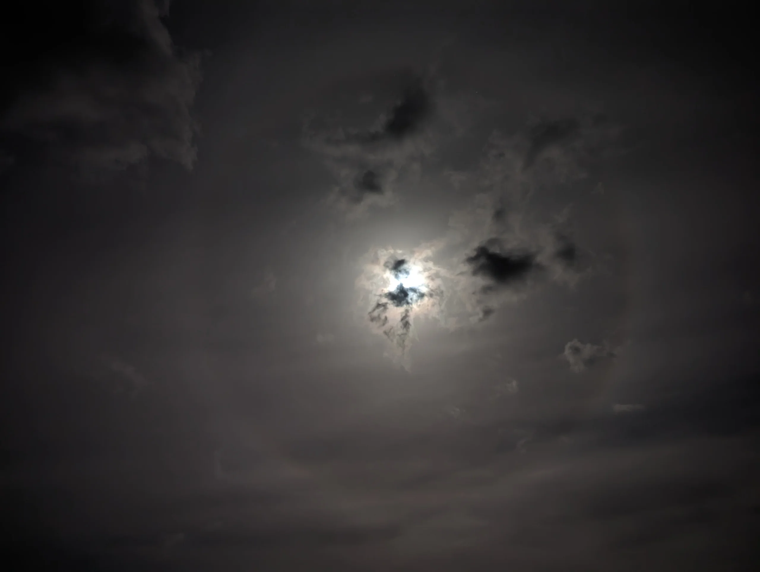 wp-1701505387438.webp