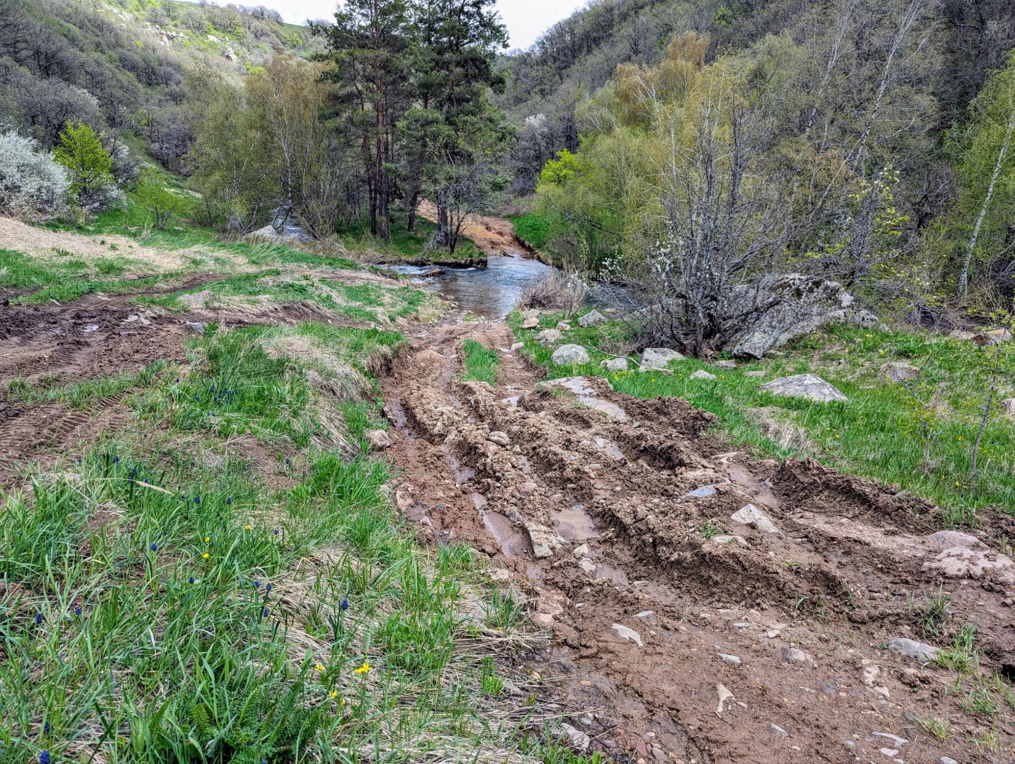 And some more tricky off-roading.