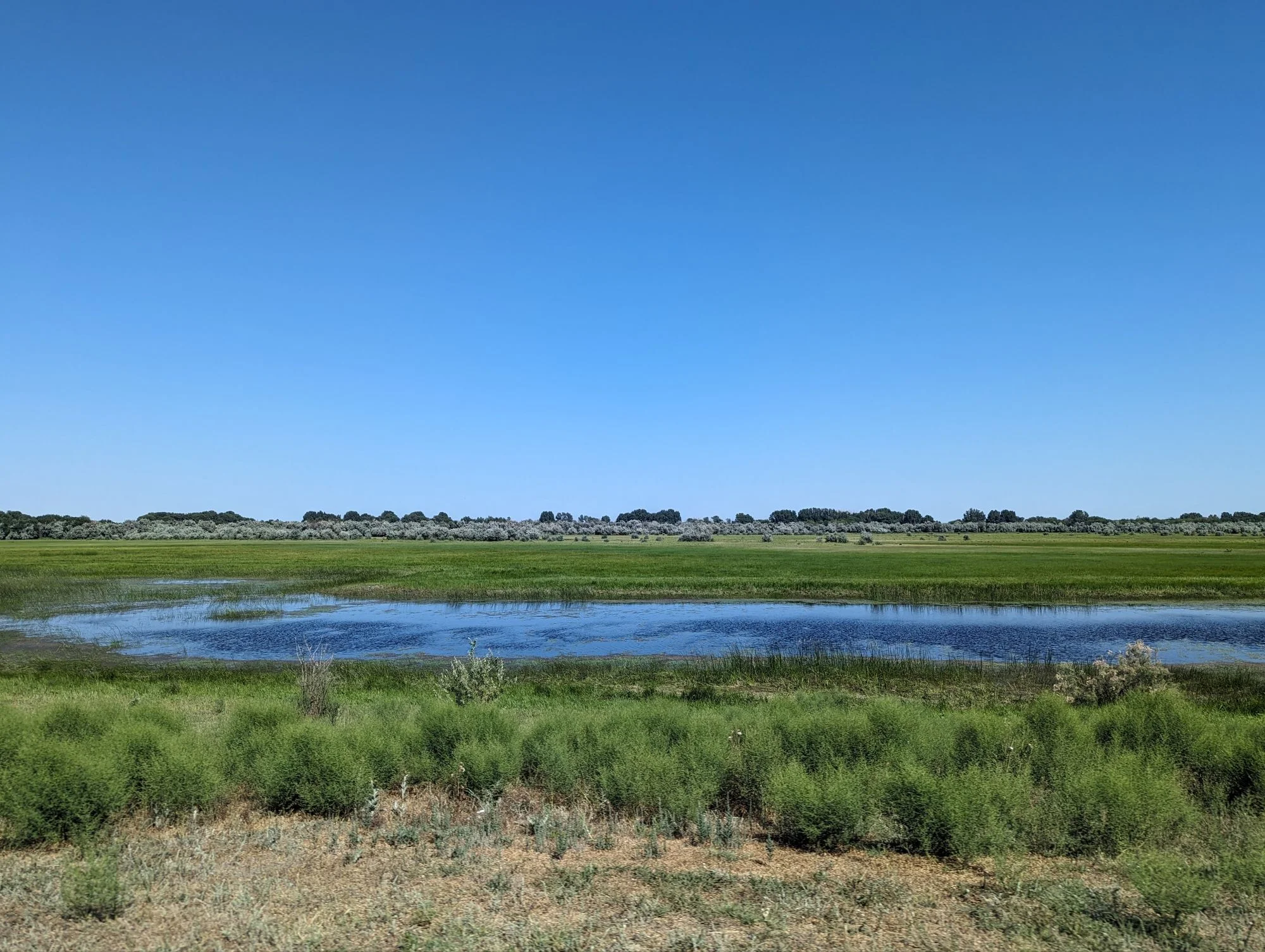 We crossed the border to Kazakhstan and entered the steppe!