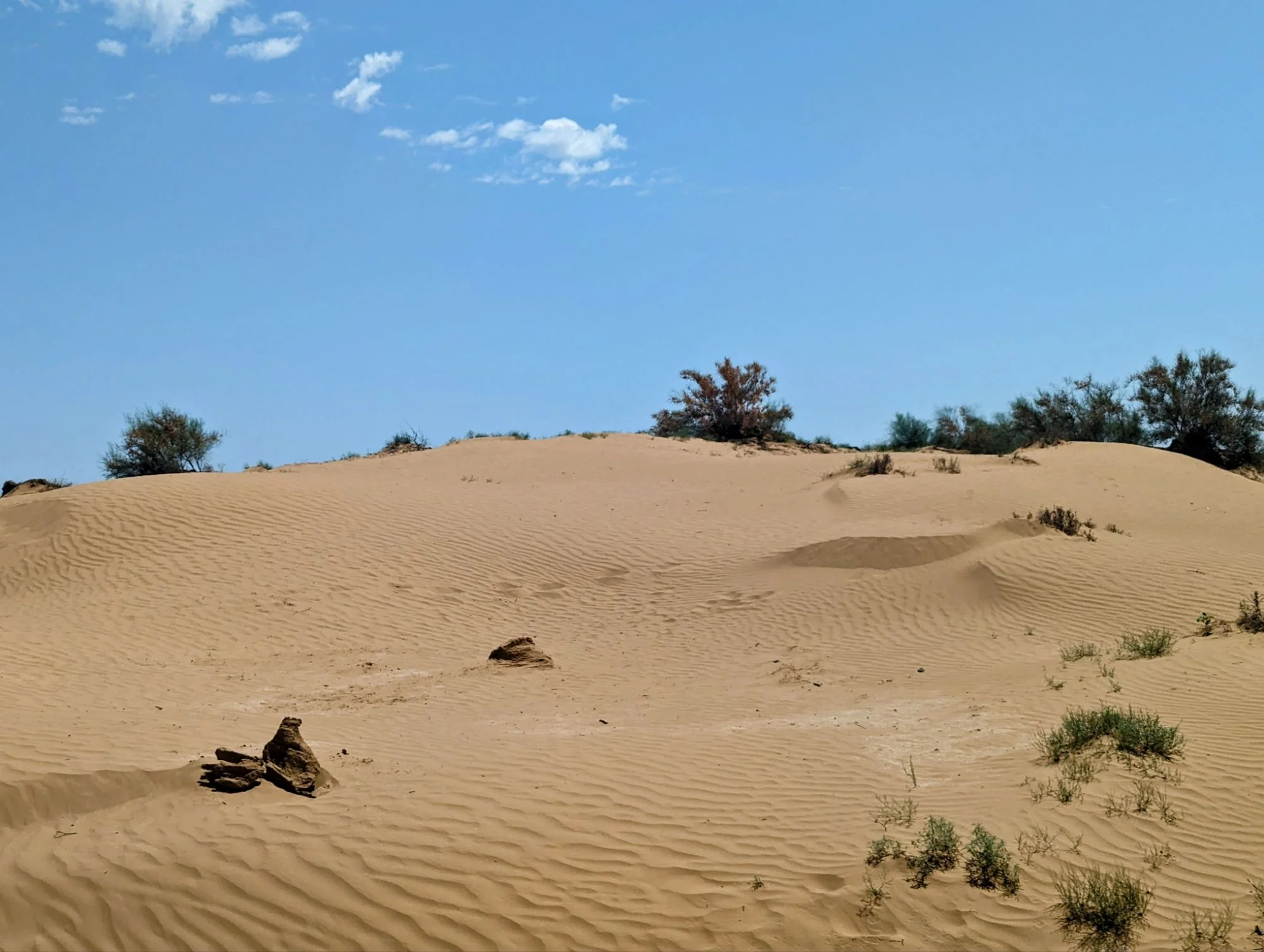 The temperature rose to more than 40 degrees Celsius and sometimes we liked to continue driving just to have the comfort of Rosinante&rsquo;s air conditioning.