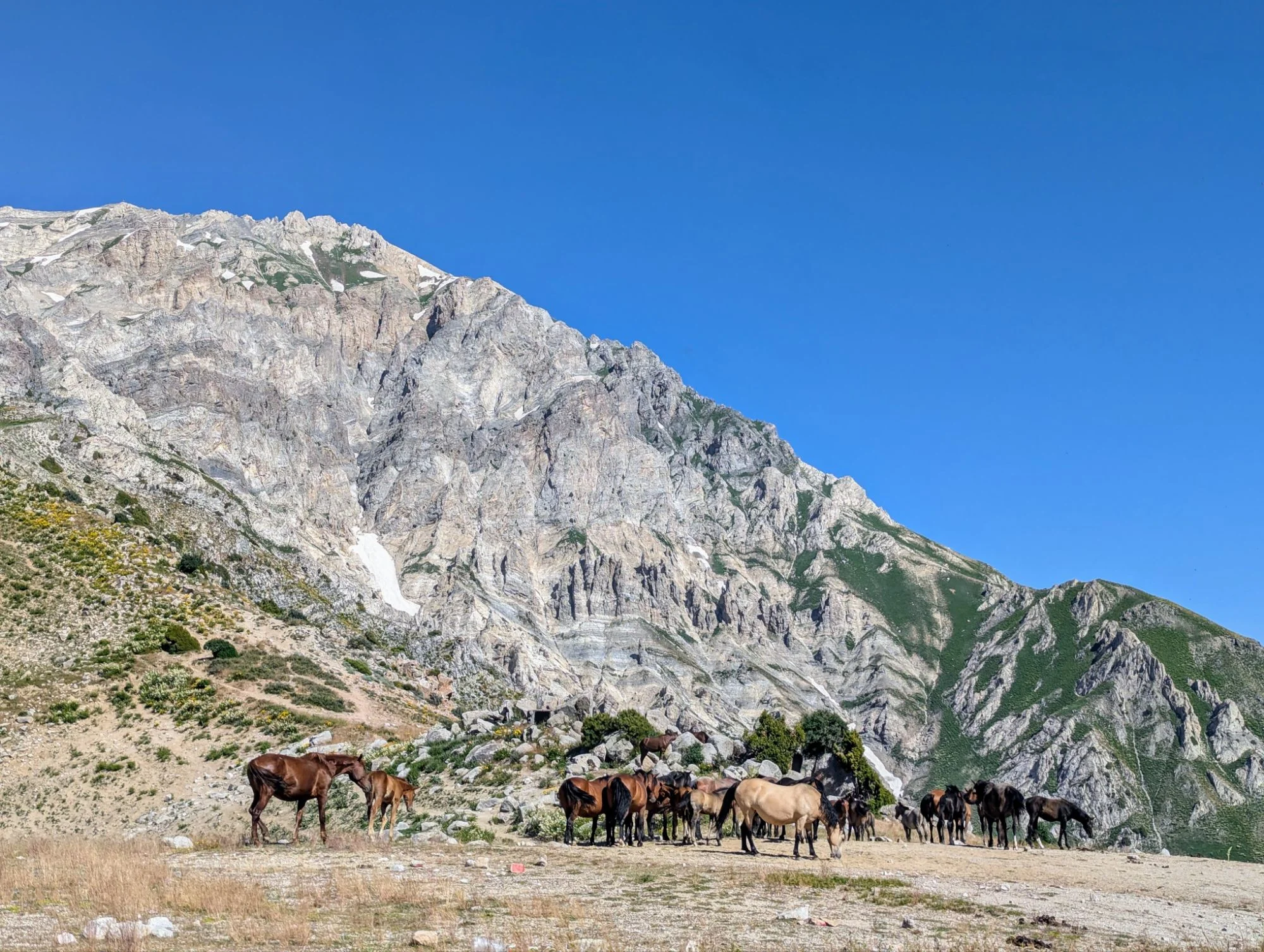 🐎 Here is this tour in Komoot.