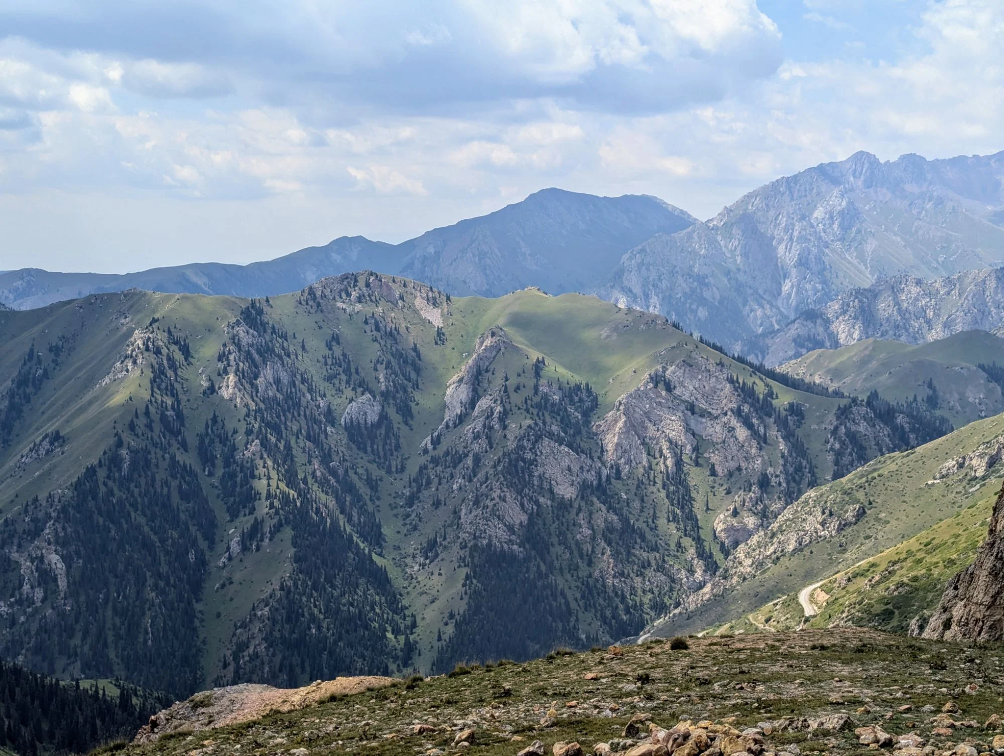 We did an interesting hike on which we depend on mostly cow trails. They did a pretty good job preparing a trail through the bushes and making the slopes a bit more walkable. Here is our hike on Komoot.