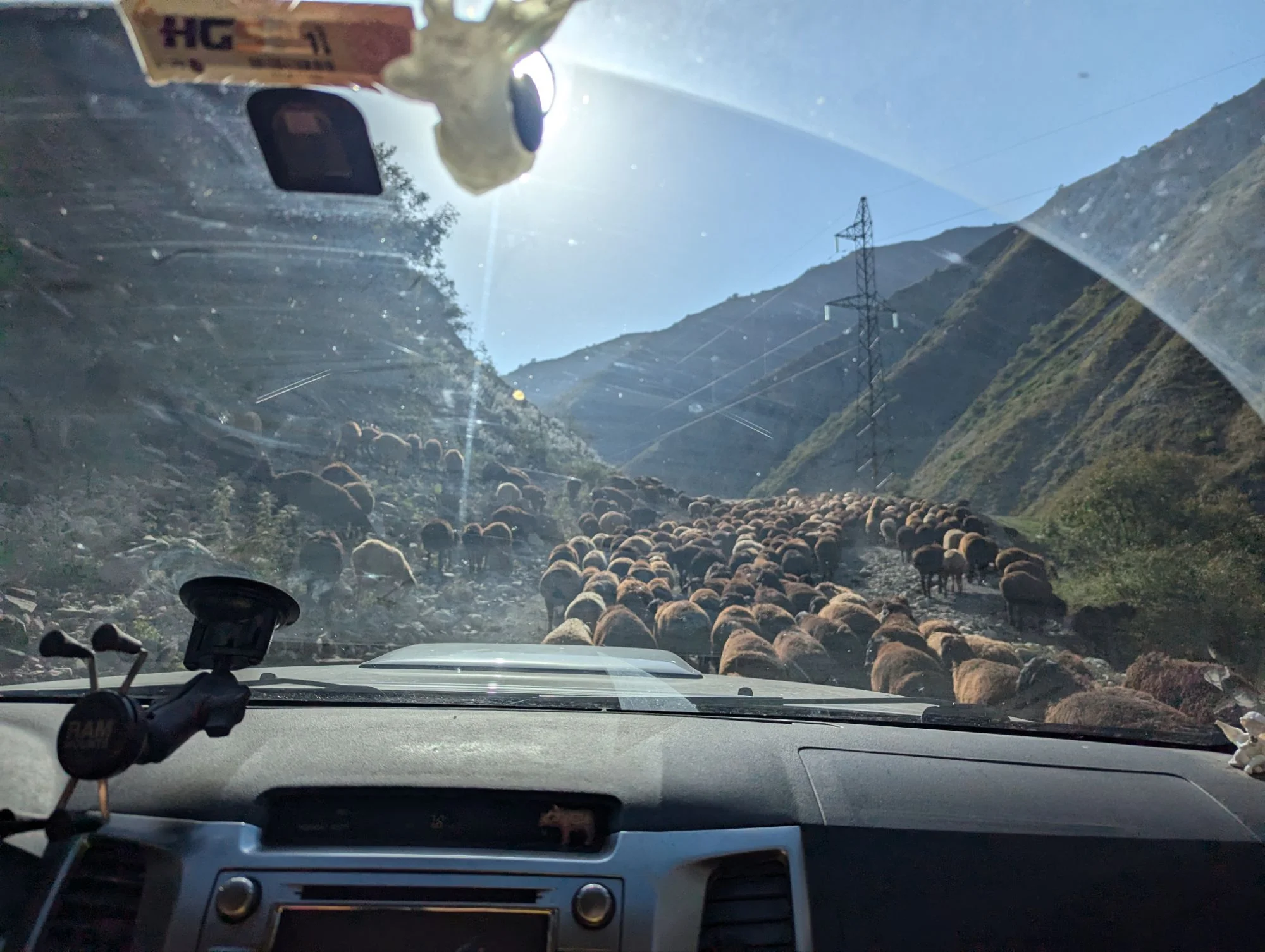We went back to Kyrgyzstan and met a gang of &ldquo;fat ass sheeps&rdquo;. We call them that way because on their back sides, they have additional &ldquo;fat sacks&rdquo; like camels have.