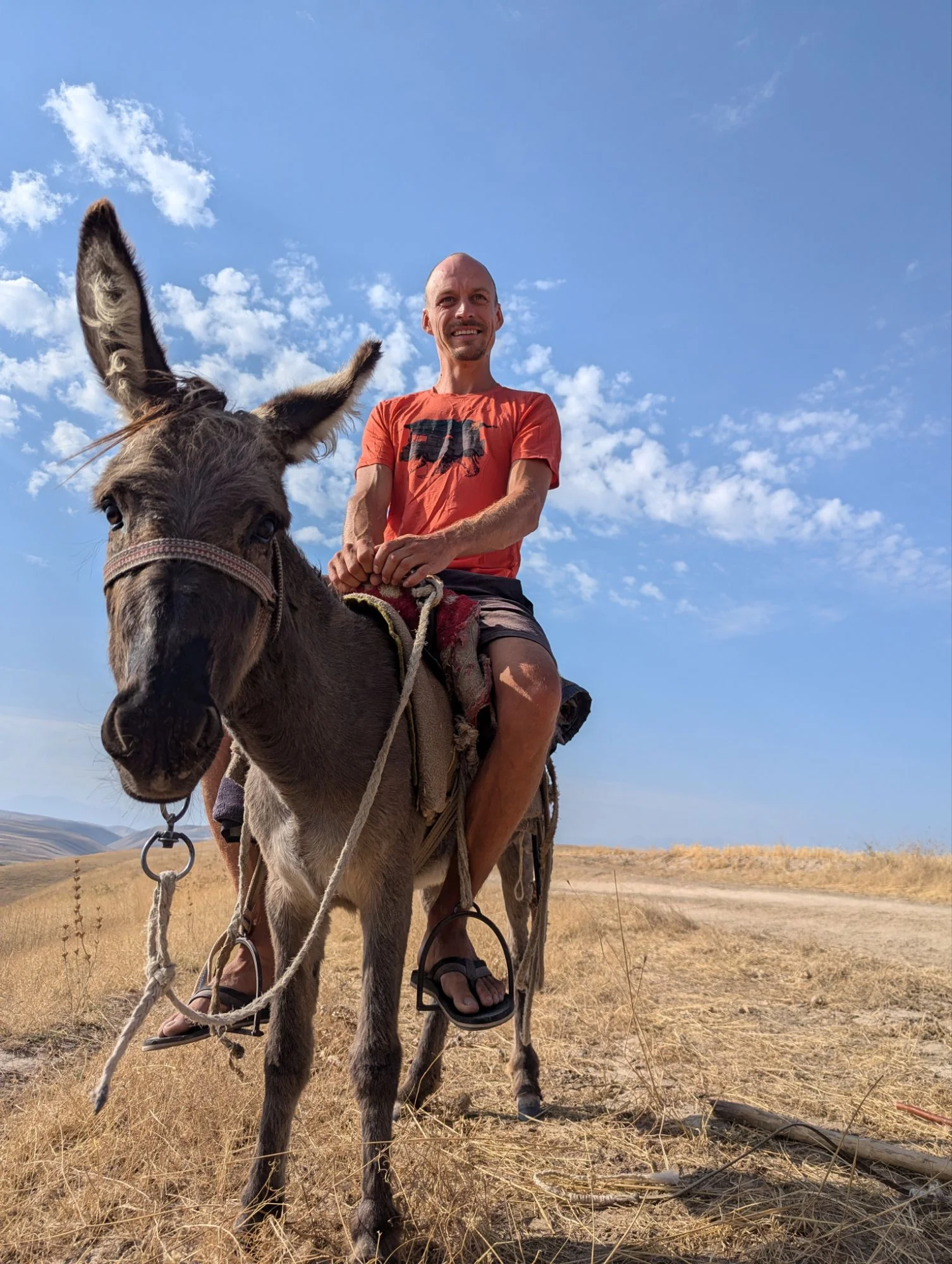 These donkeys. We did see them a lot ridden by elderly men and that looked like they were in a cartoon because the riders feet are nearly touching the ground.