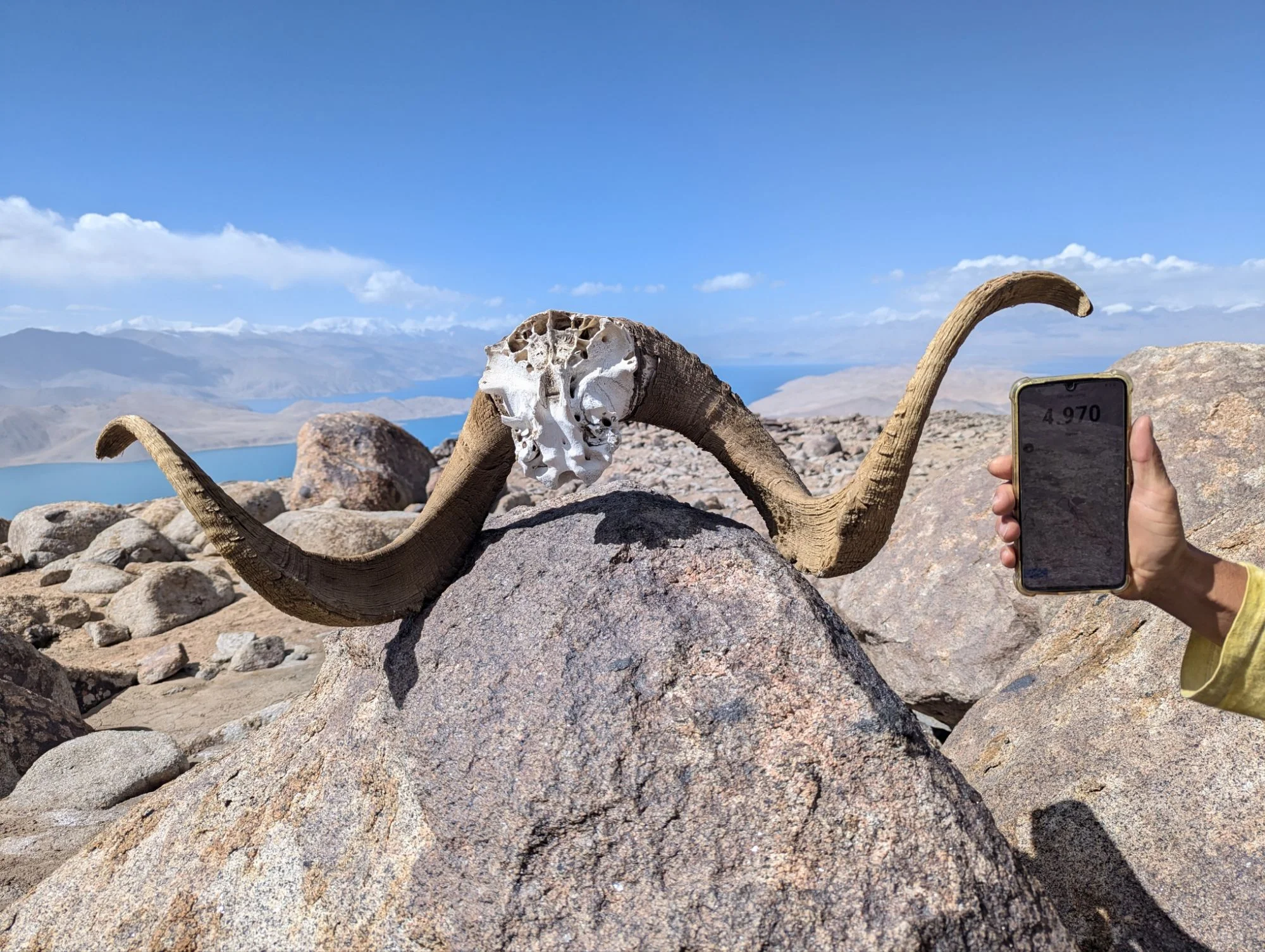 And some dead. Actually Racki carried this skull, about 4 kg, almost to the summit and the whole way down again to our camp to gift it to Simon who was repairing his exhaust pipe which broke the day before.