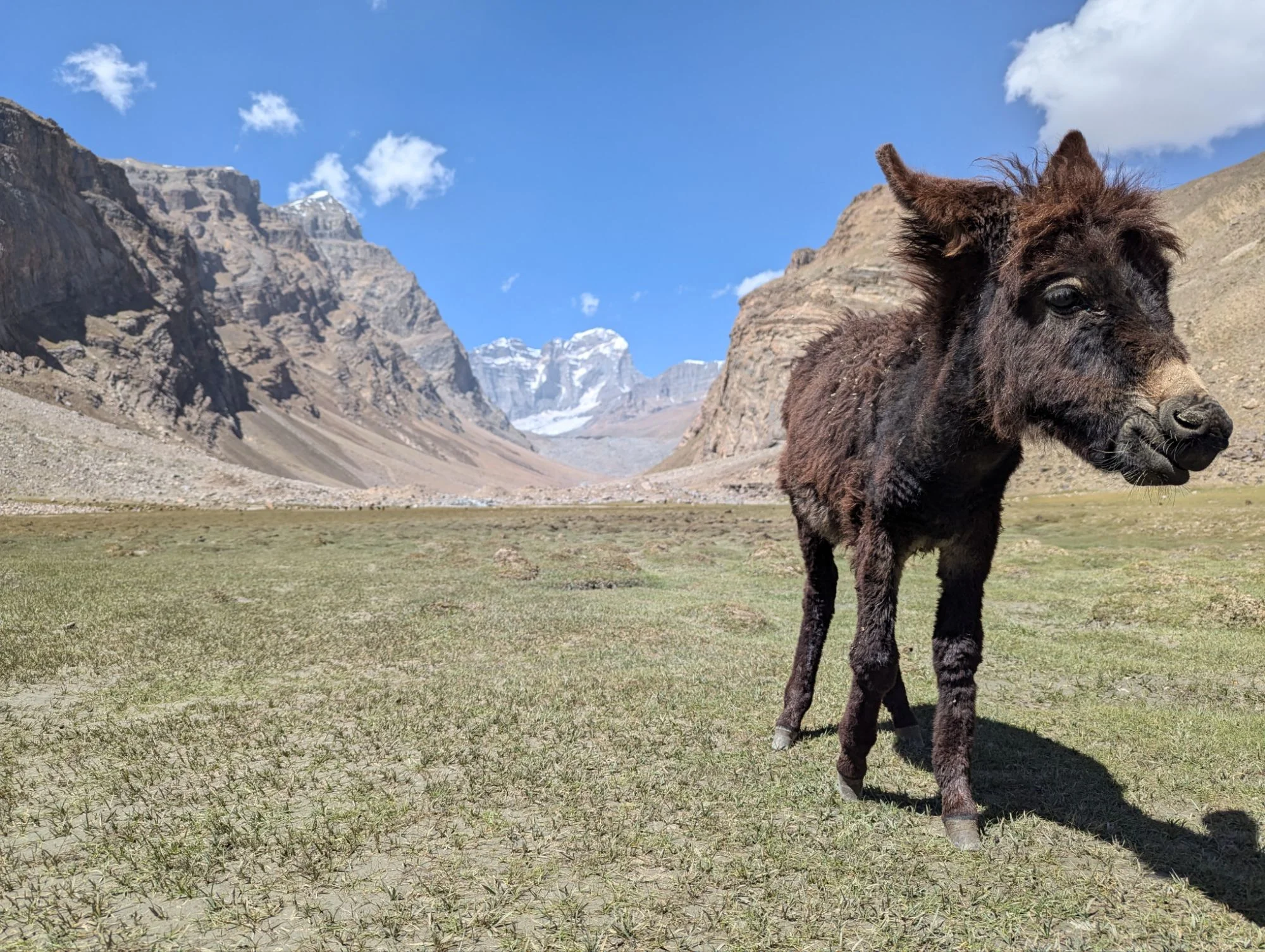 On the way we met some cute friends.
