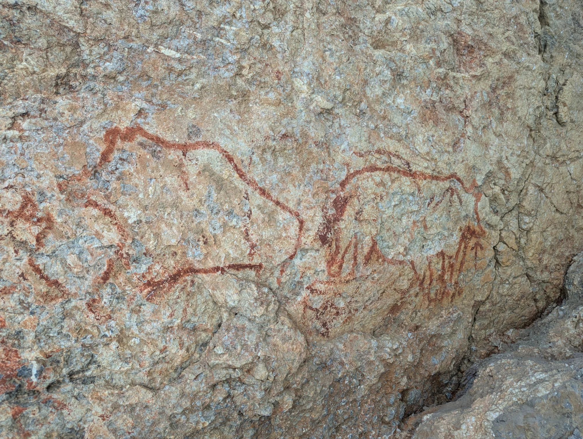 Near Murghab, the other big settlement on the Pamir, we visited some ancient paintings.