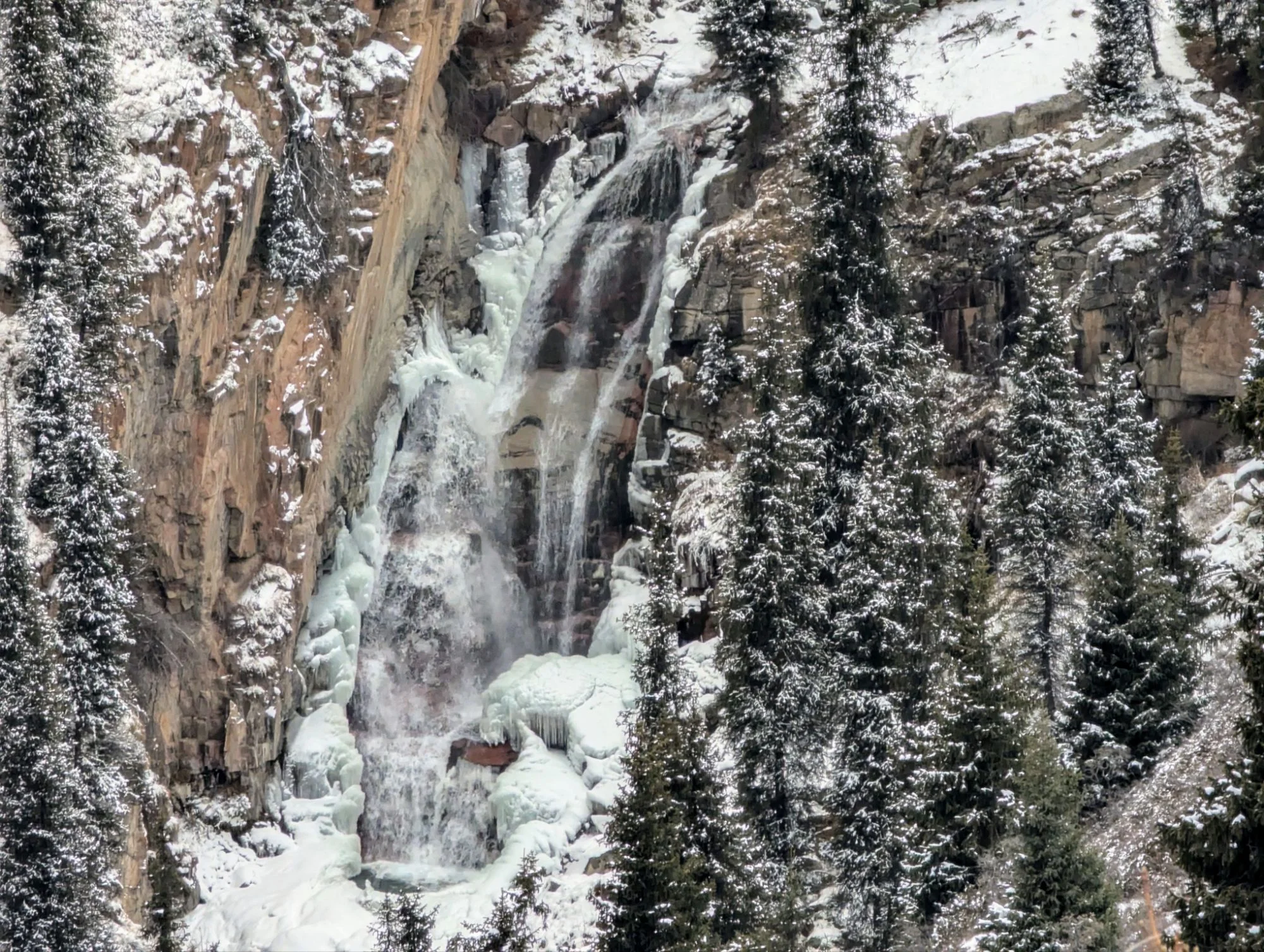 On our winter hikes there was a lot to see.
