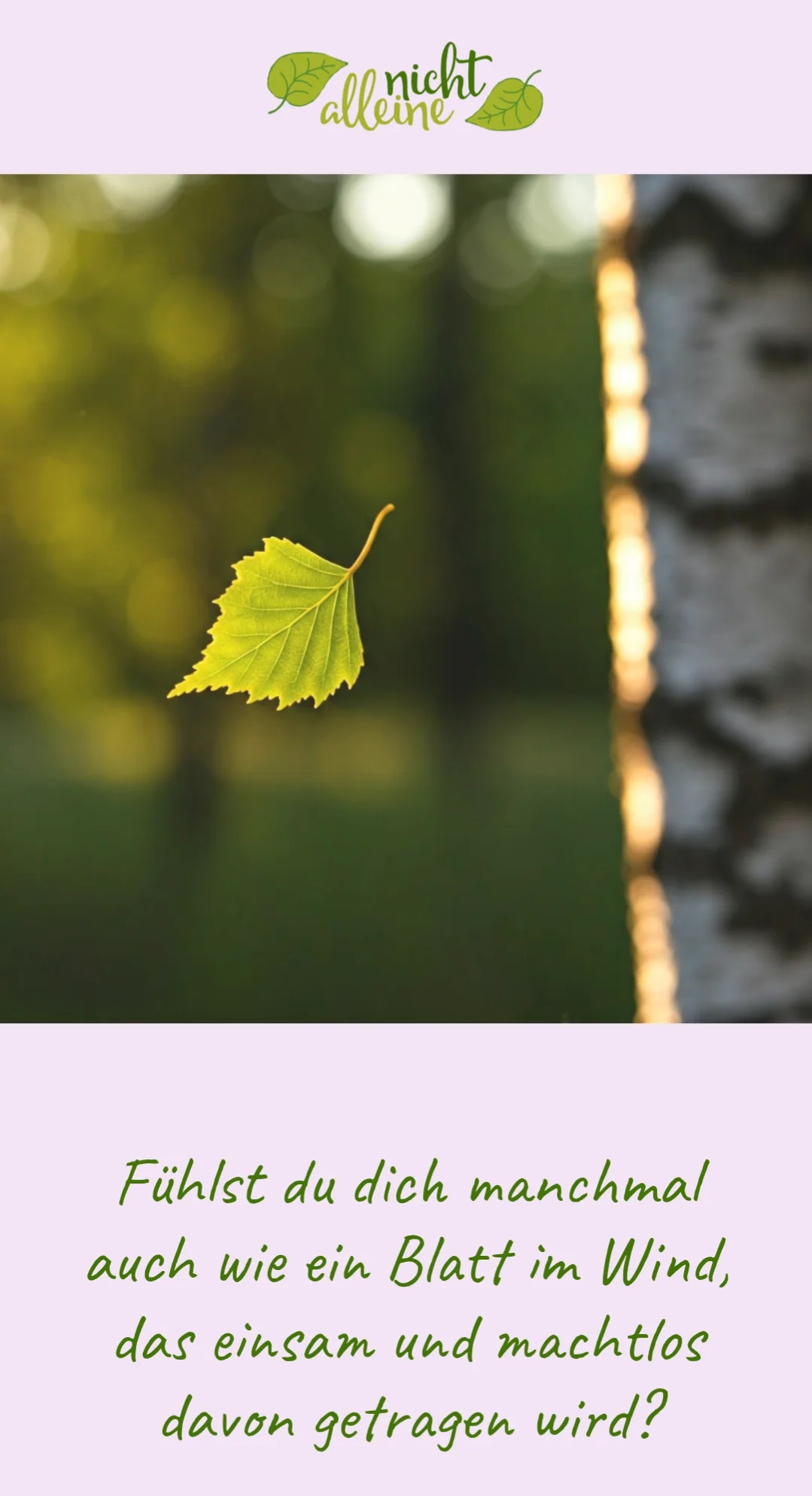 We built a nice little website, one which Racki is offering talks and messaging with people who are feeling lonely: https://nicht-alleine.org