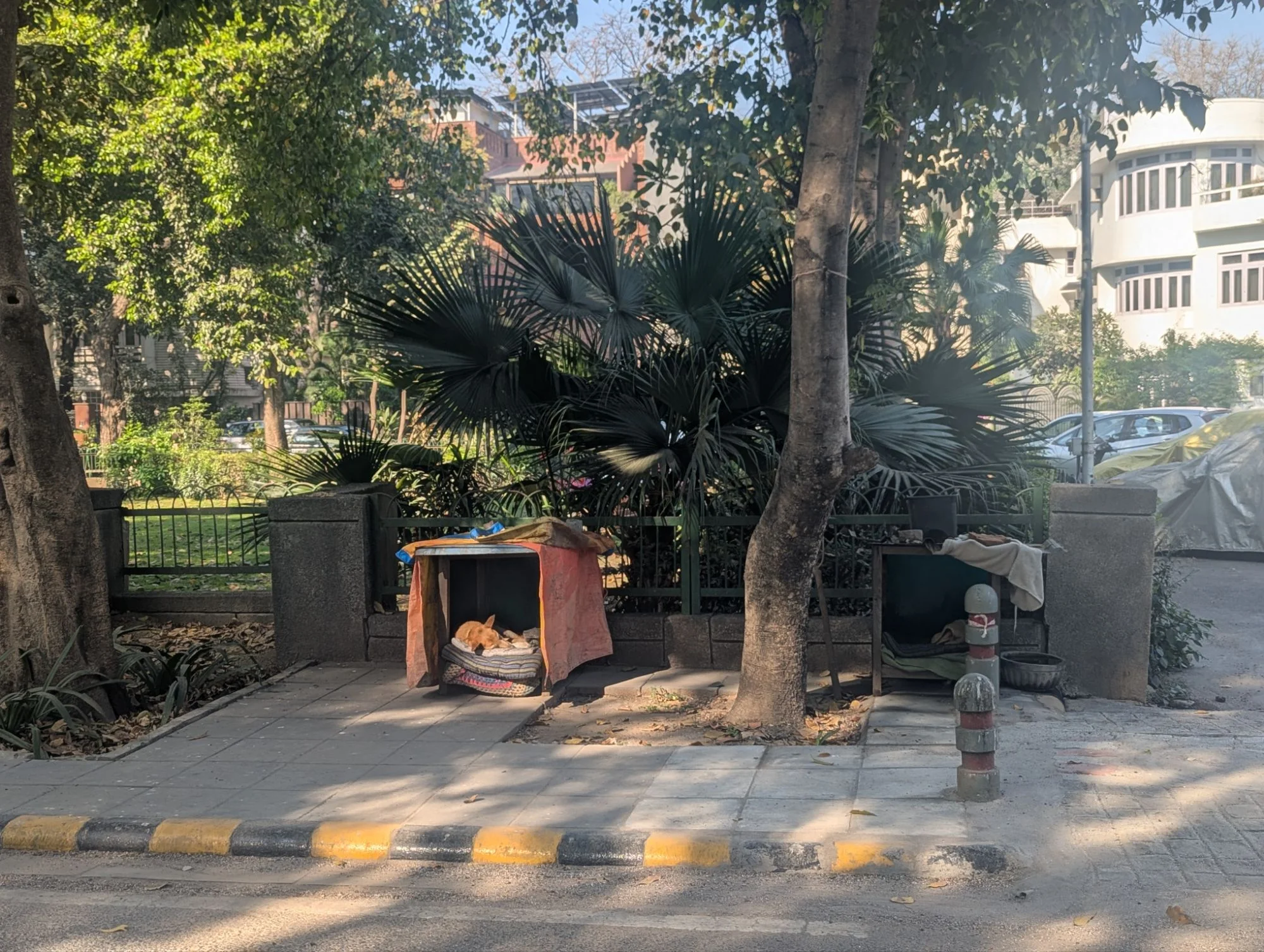 A nice home for one of the stray dogs.