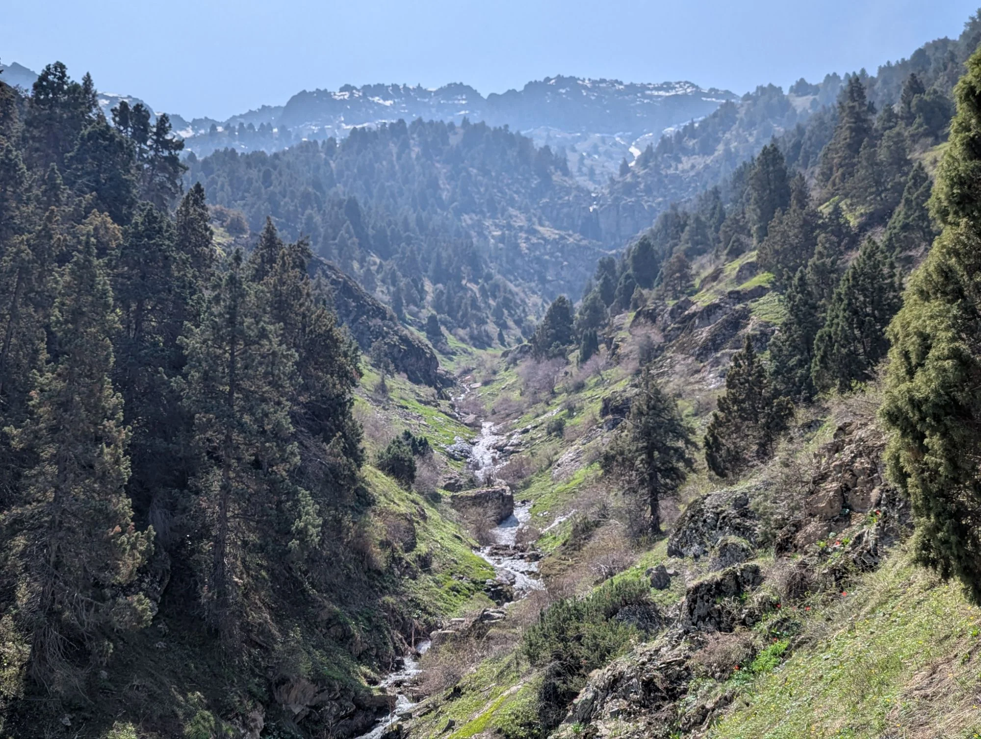 We went into the beautiful Uzbek mountains and started a two days hike.