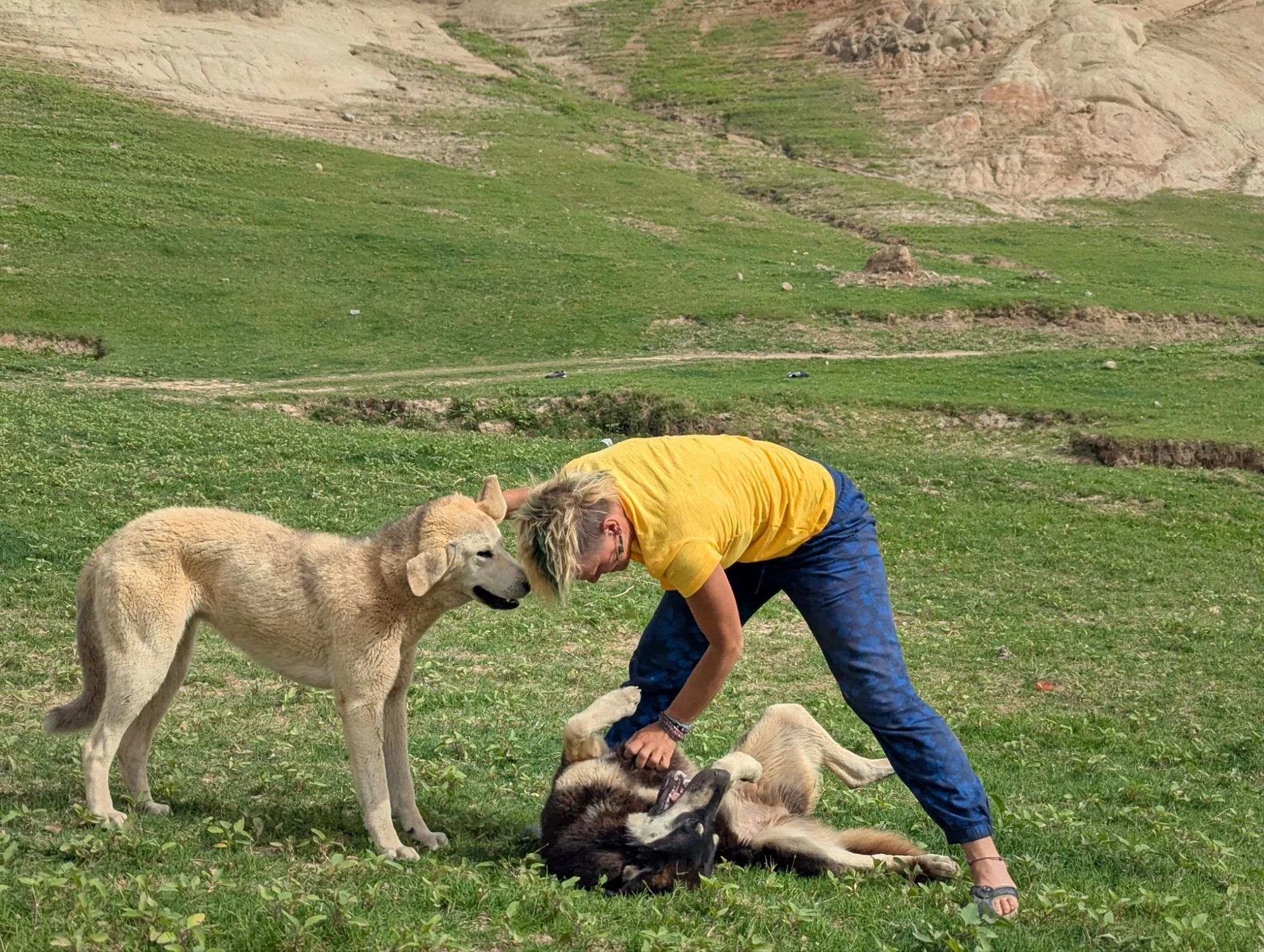 Soon we got two new dog friends. Racki played a lot with them and we cooked a big portion of rice with dog food for them because they looked quite hungry. They were barking all night but fortunately not right next to Rosinante but a couple of hundred meters away.