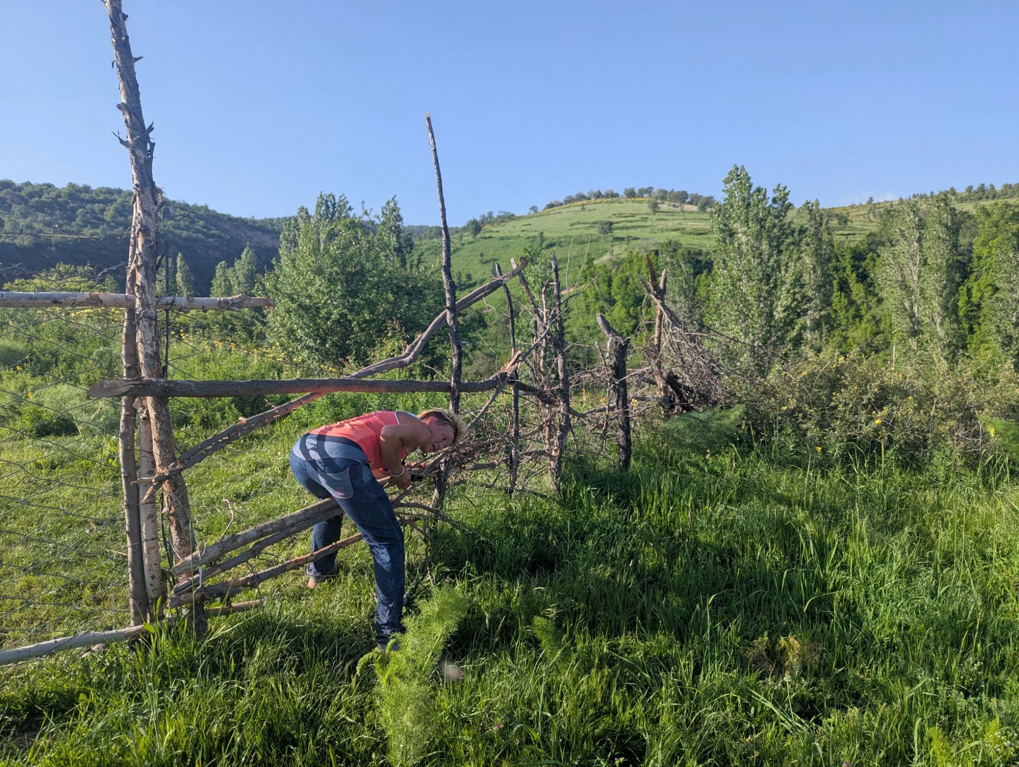 On May the 4th we did the Wings For Life Run. Last year, we did it in Armenia and this time we run through the hills and farming area of Tajikistan with our friend Abudakha.