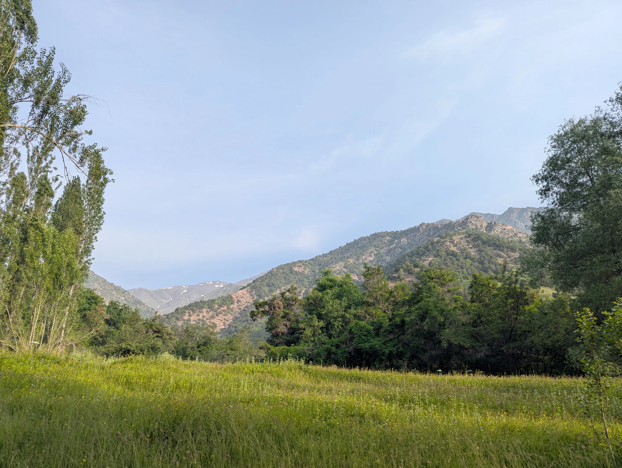 The view from the jungle. Pretty rare in the stan countries.