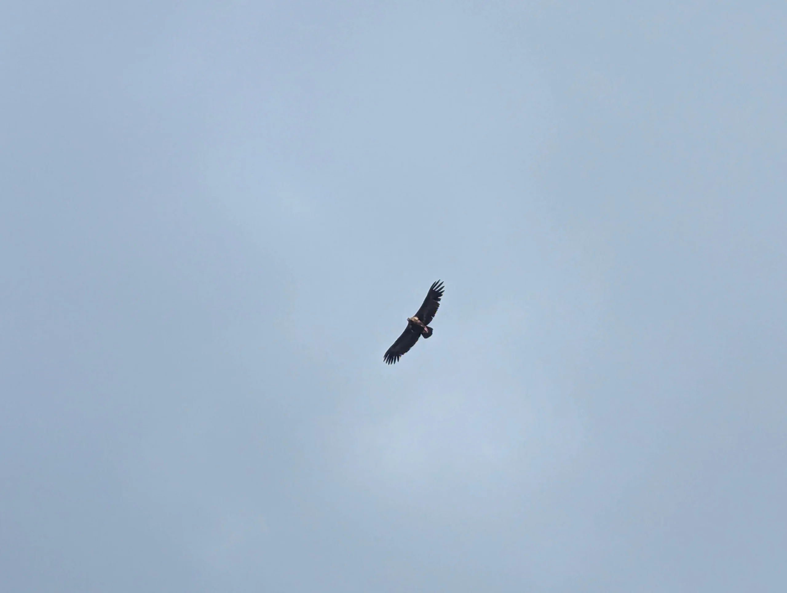And beautiful visitors.