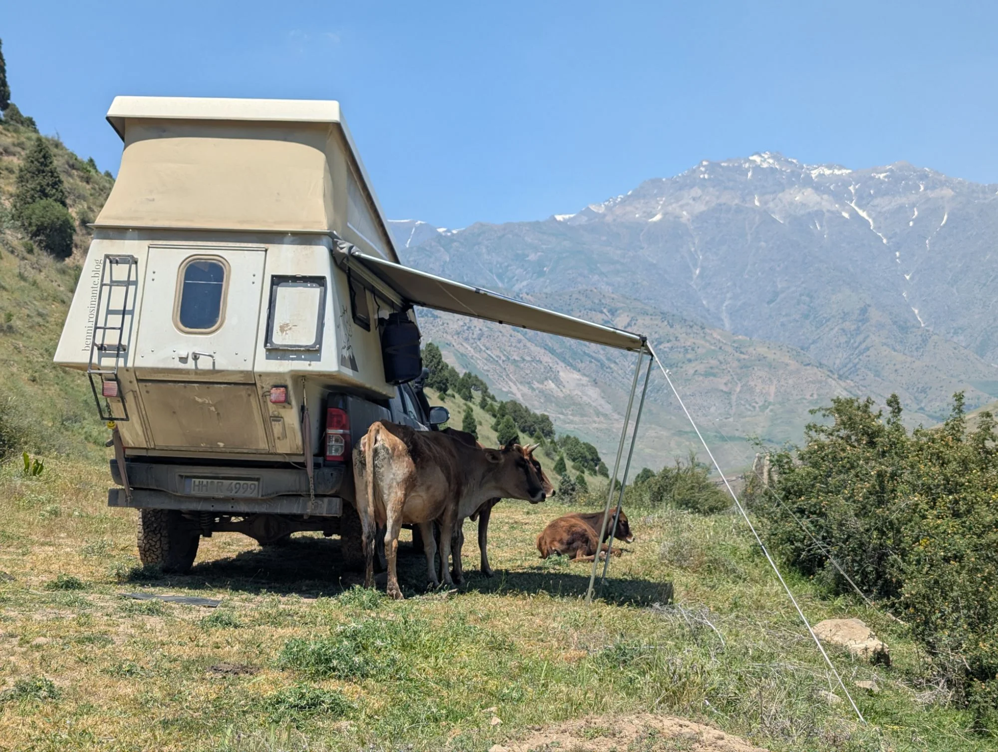 When we came back to Rosinante, some new friends chilled in the shadows of our tent.