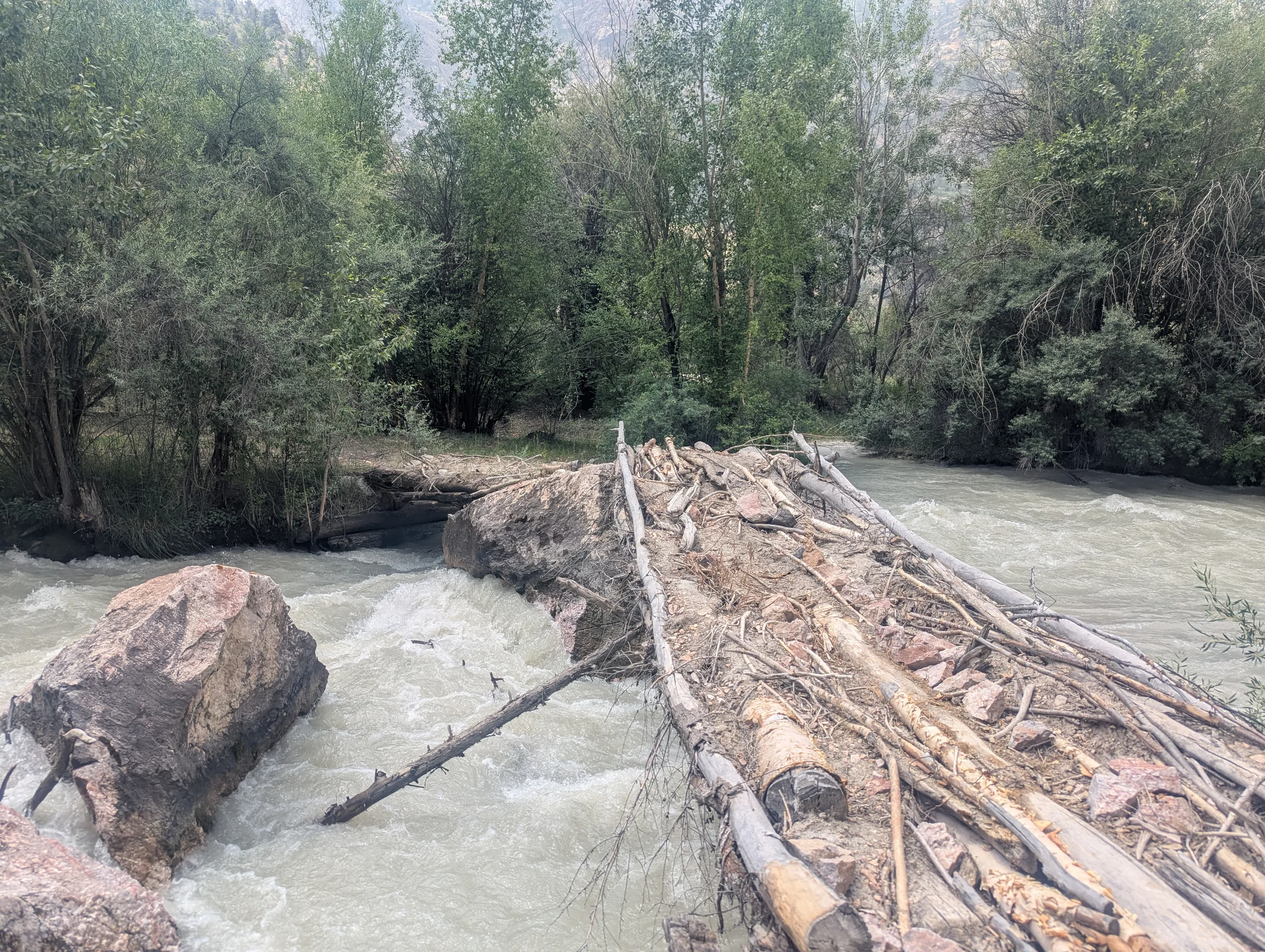 One day, we did a hike on the closest small mountain ridge and took this bridge. It was a very special and very creative one. Strong and solid. Made out of everything you can find in a forest.