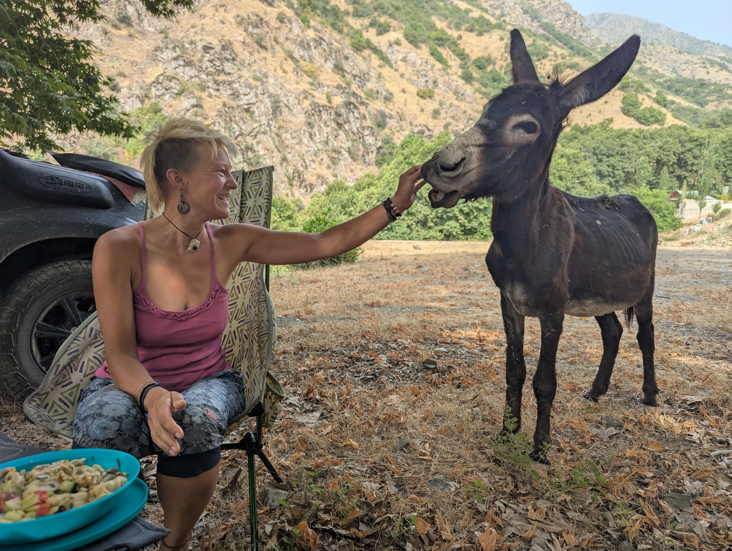 After a couple of days with about 42 degrees in the city, we went off north again to a place we knew from months before. And of course we found another new donkey friend who came by when we had breakfast and tried speaking to the table to grab some food.
