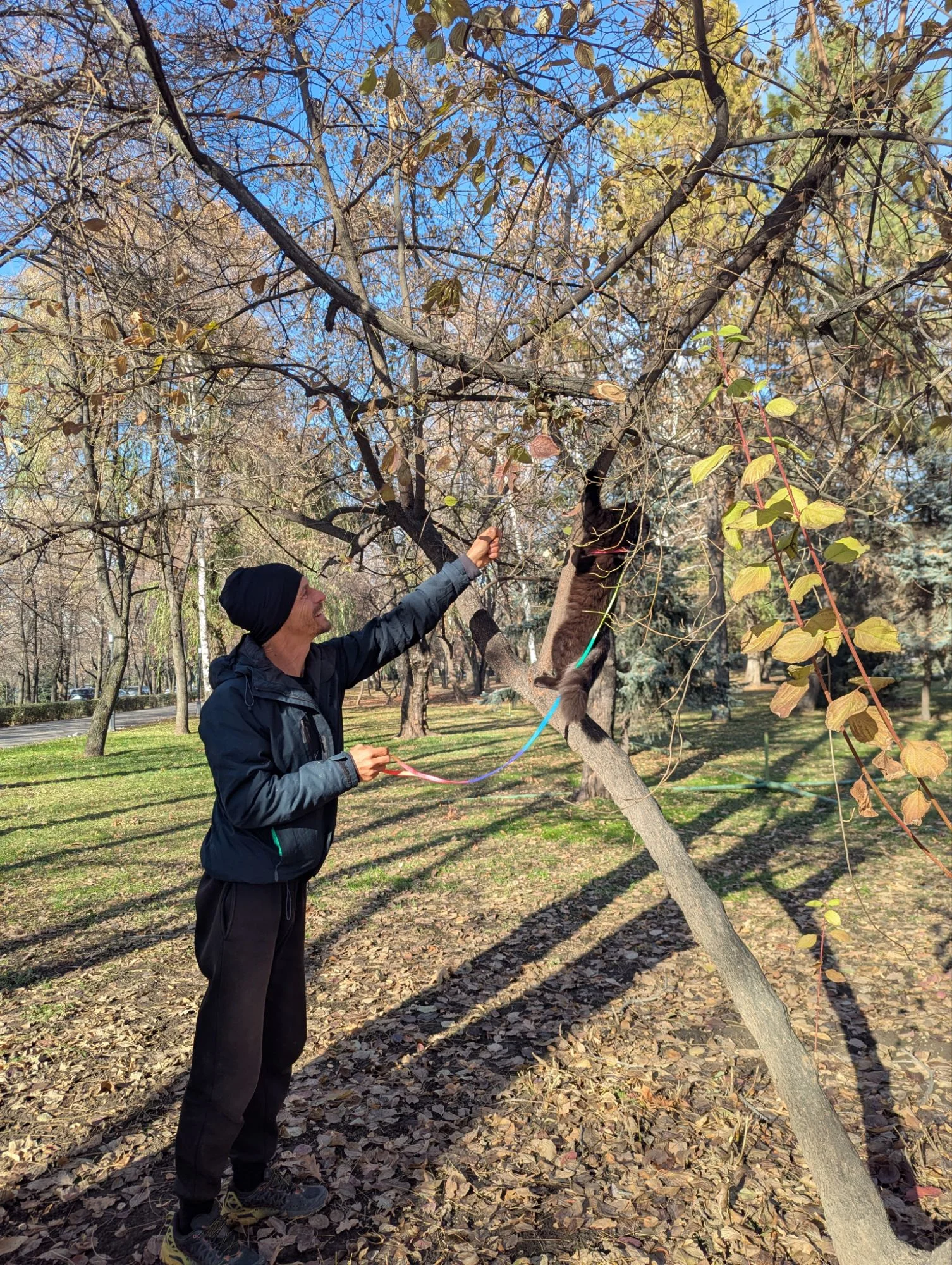 Furry loved taking a wall, climbing trees. A real climber 💪