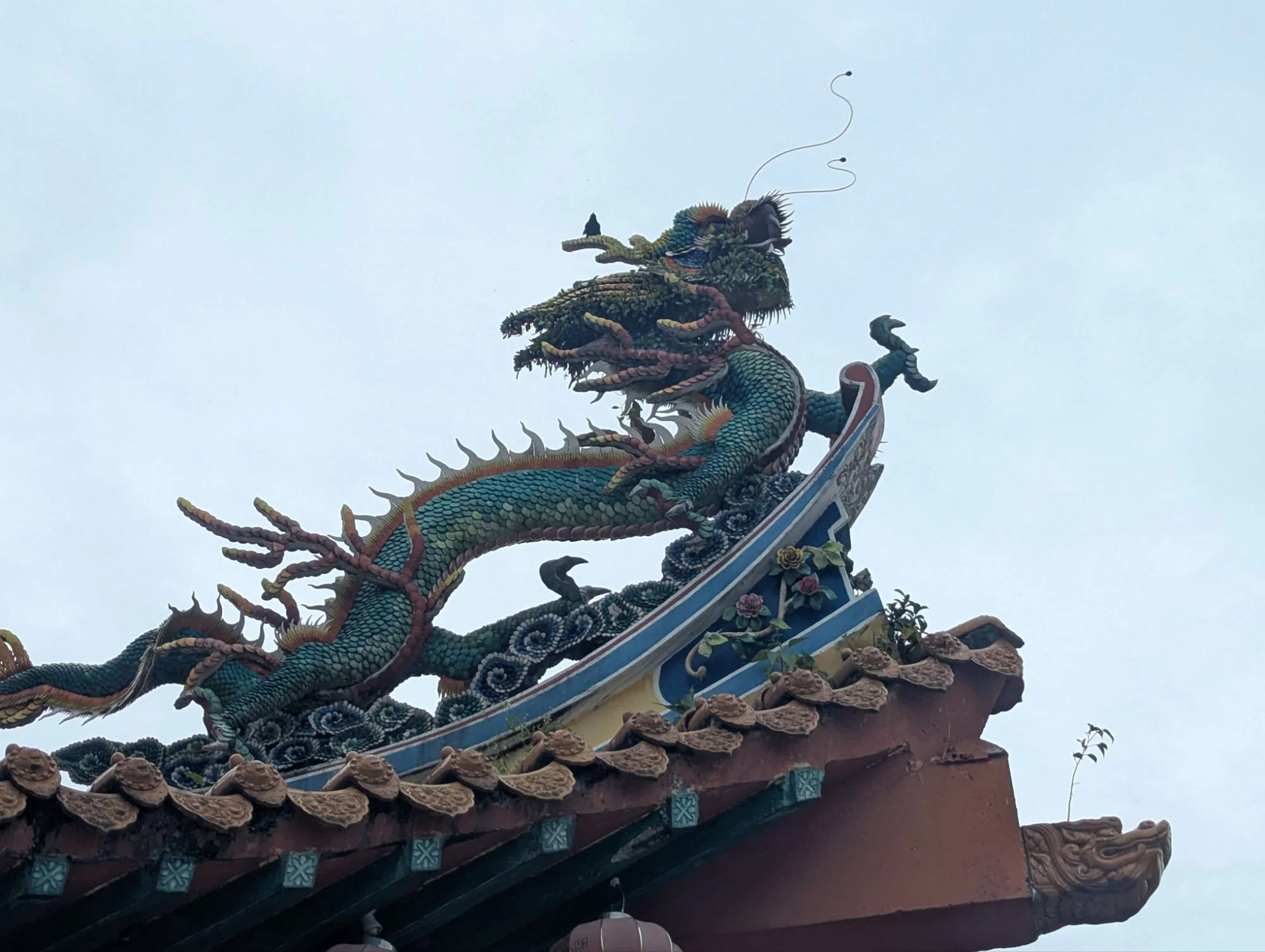 &mldr; dragons, &mldr;