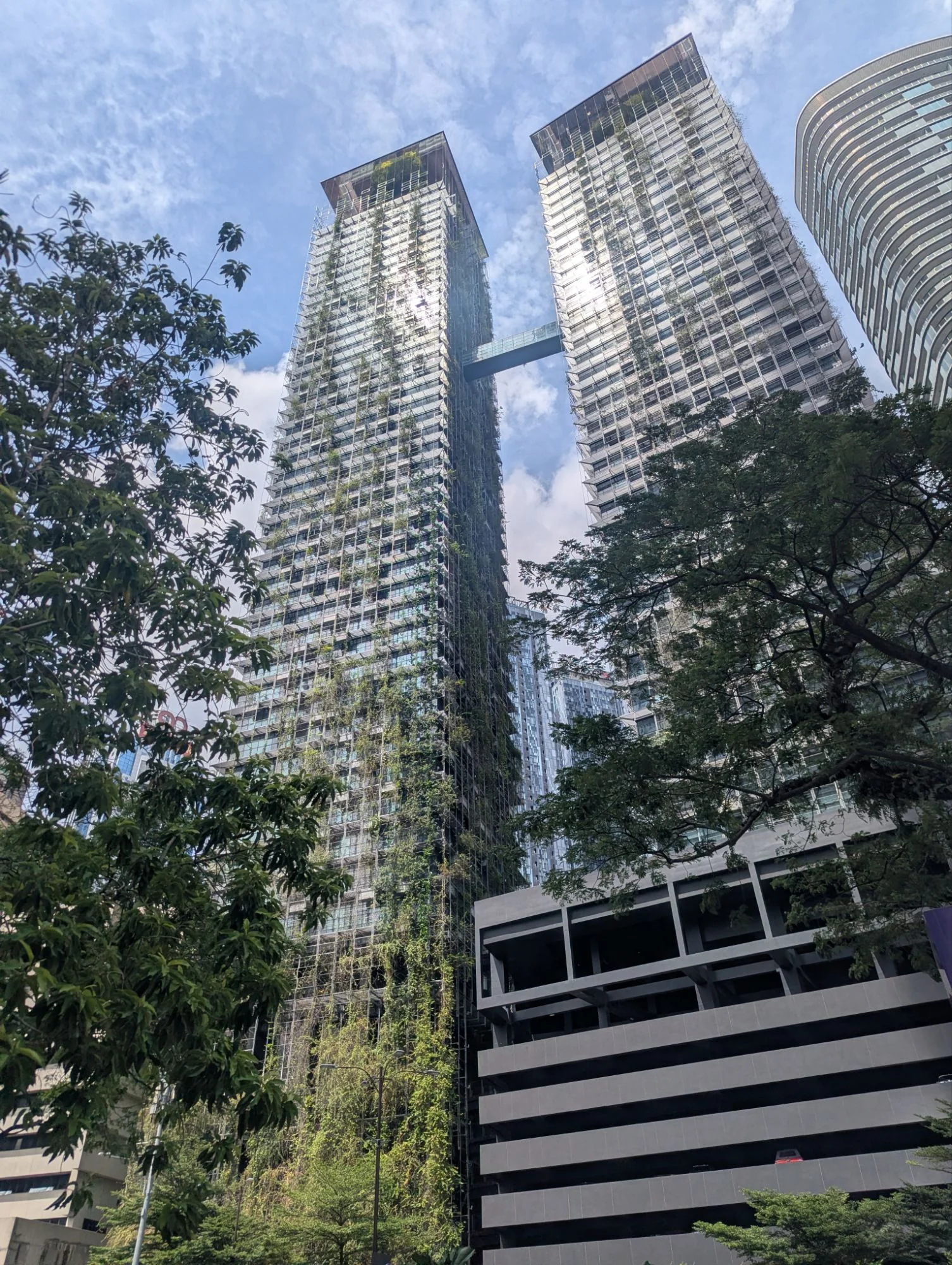 Some even blended a bit into nature which was not so easy in that concrete city 🌱