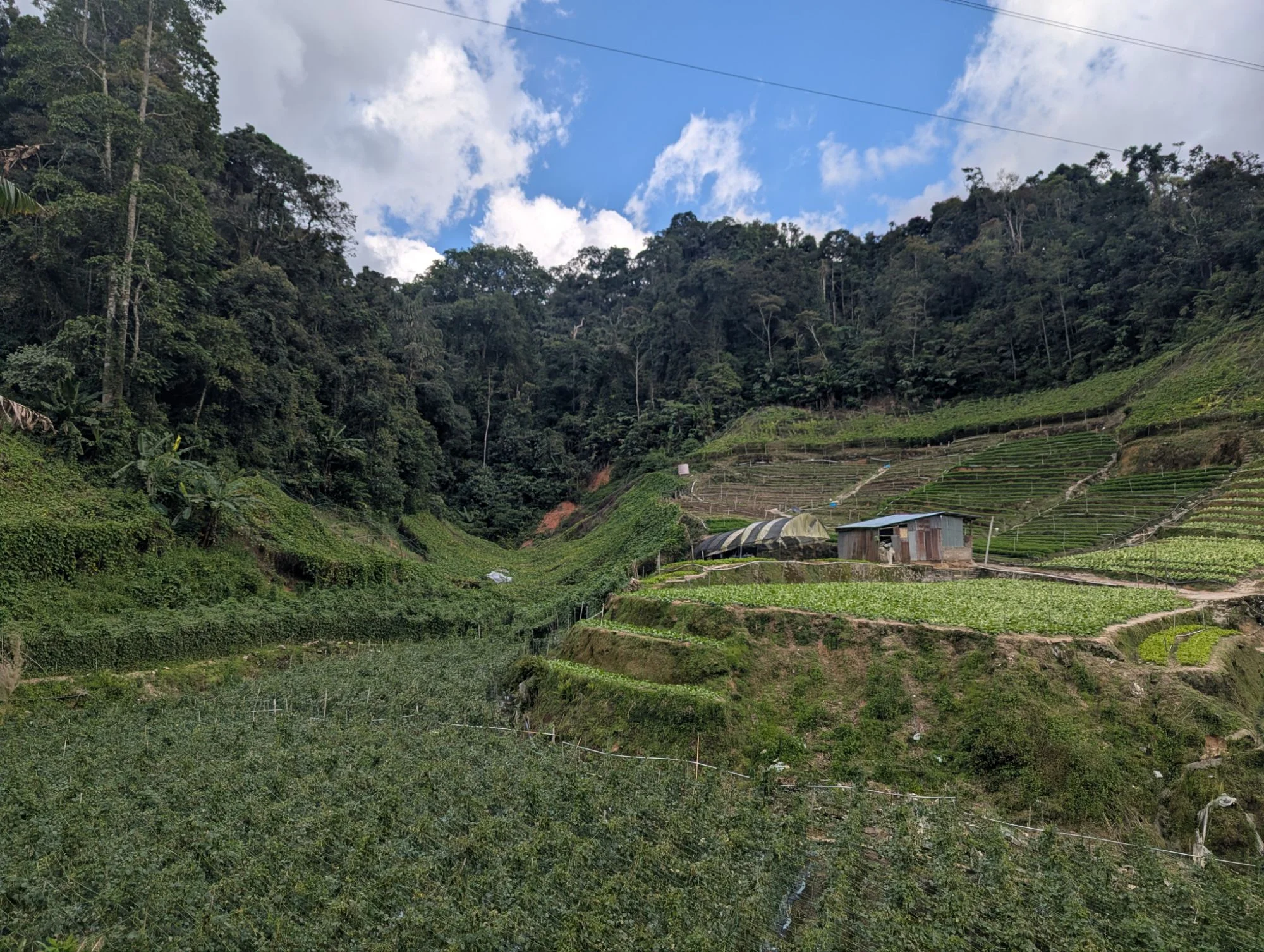 But still I was very sorry for my mistake because the path to the wrong location was very slippery and we had to walk a lot longer to avoid taking that path again 🙃