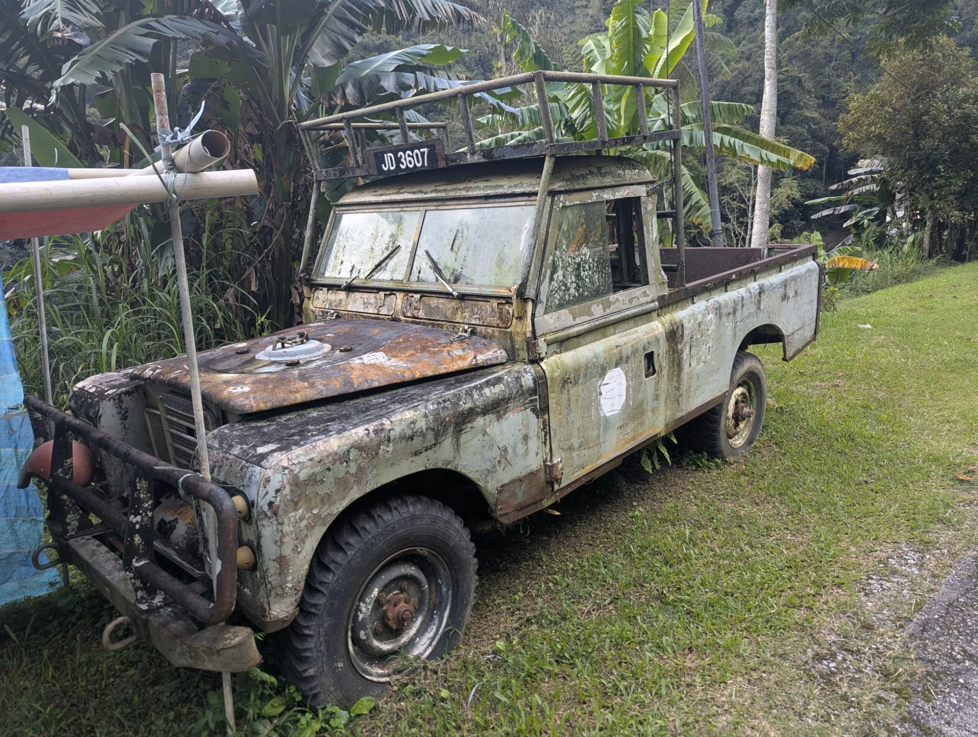 But in the end, we made it and on the way we met a lot of jungle-assimilated old cars 🌿