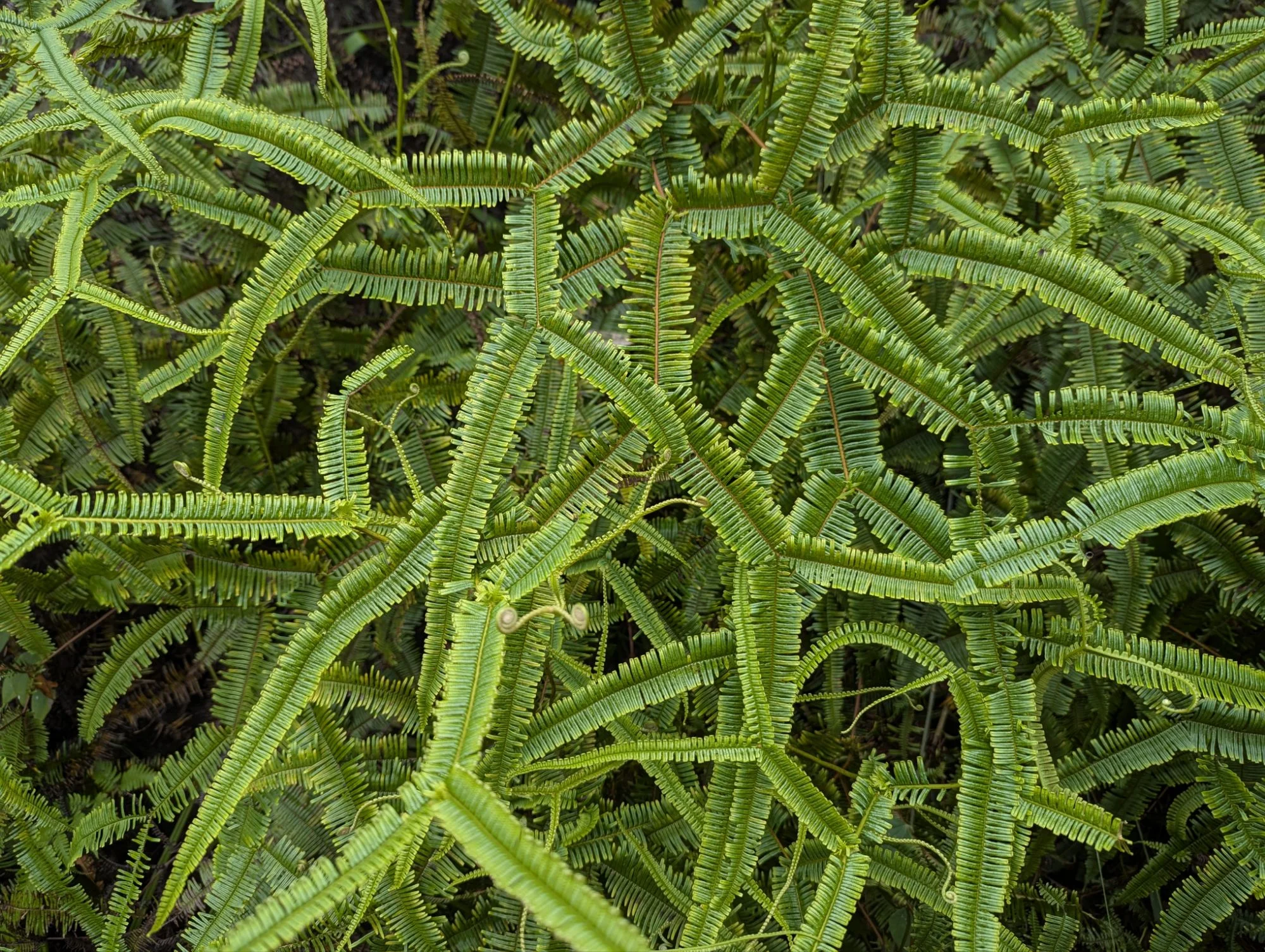 All these patterns, &mldr;