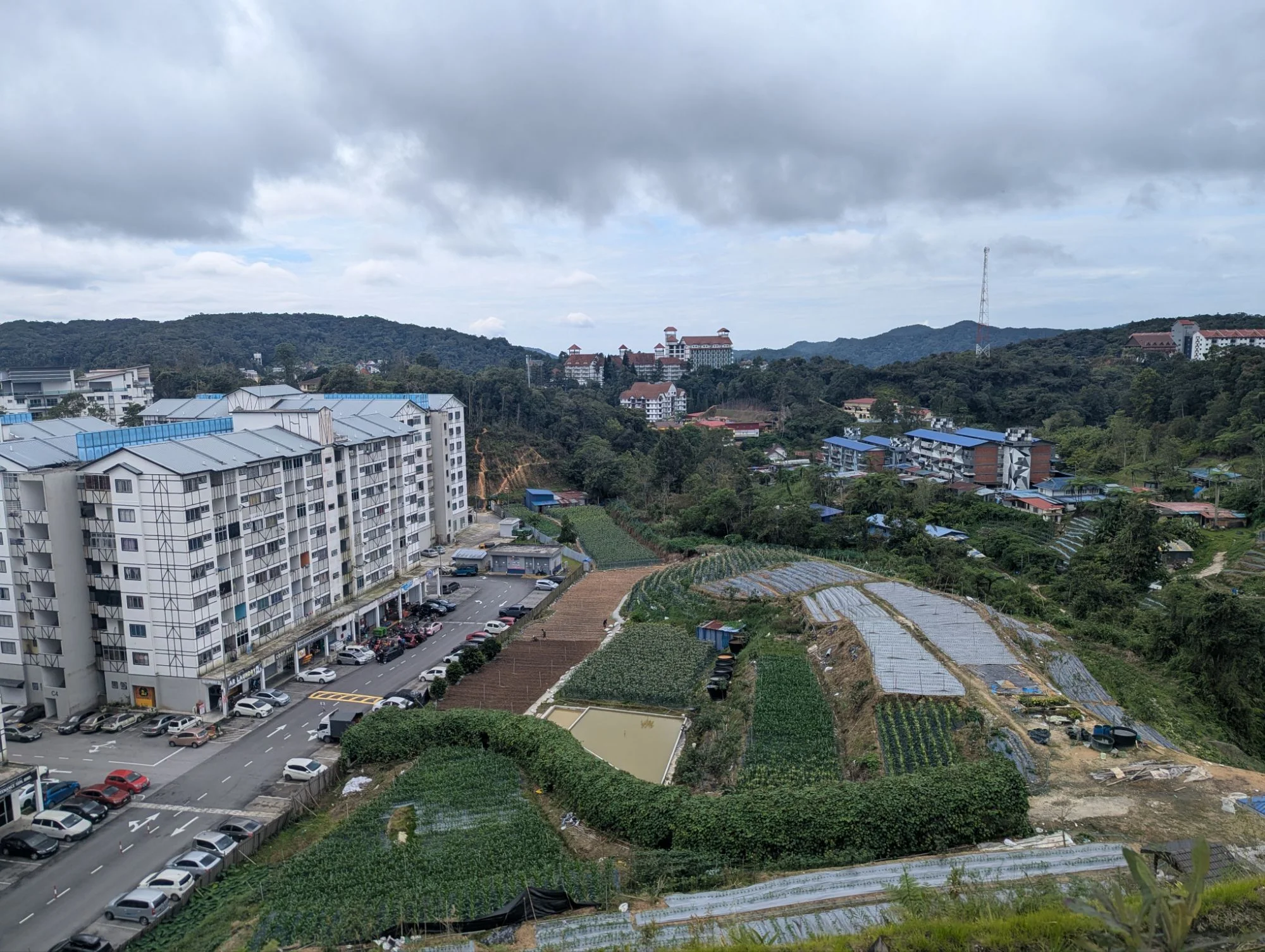 The weather was awesome. Not one rainy day in the rainy season in the jungle. Our apartment was in one of the big living houses in the Cameron Highlands and we had a lot of good food in the small restaurants 🥳