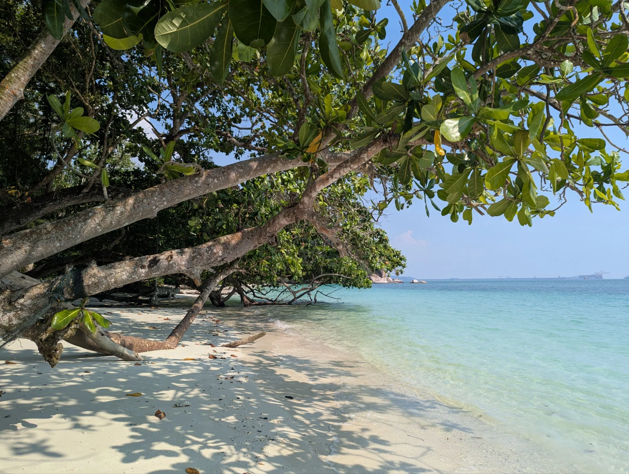 &mldr; this nice blend of jungle, sand, and ocean &mldr;