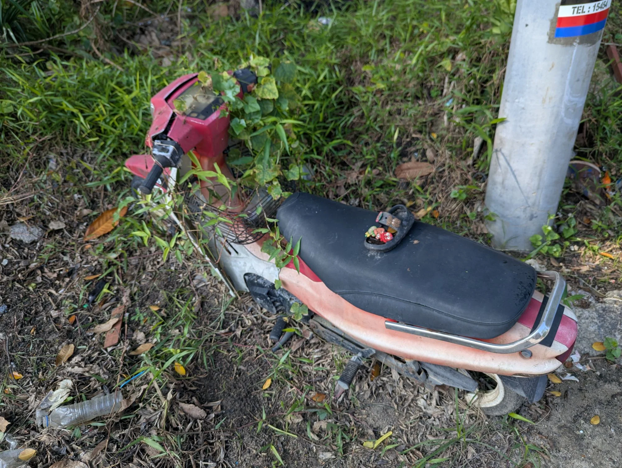 They had a whole lot of scooters on that island. New and old 😳