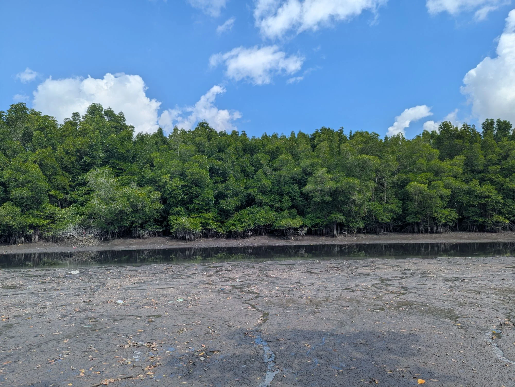 There was a river bed to observe as well 🙂
