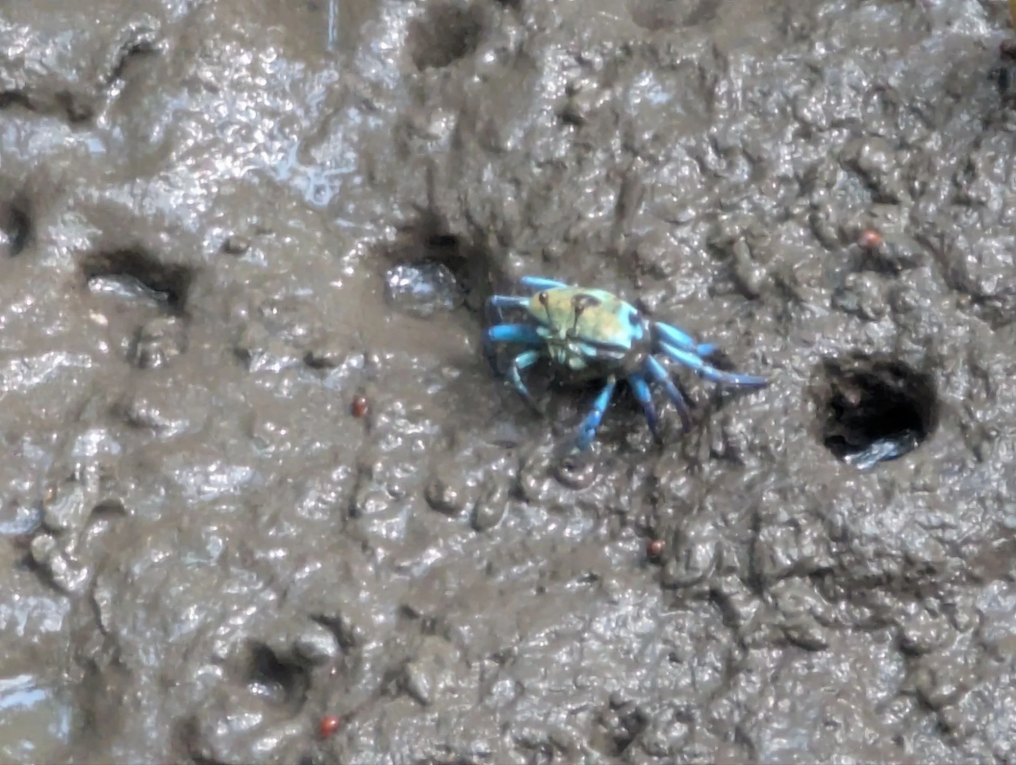&mldr; nice blue &mldr;