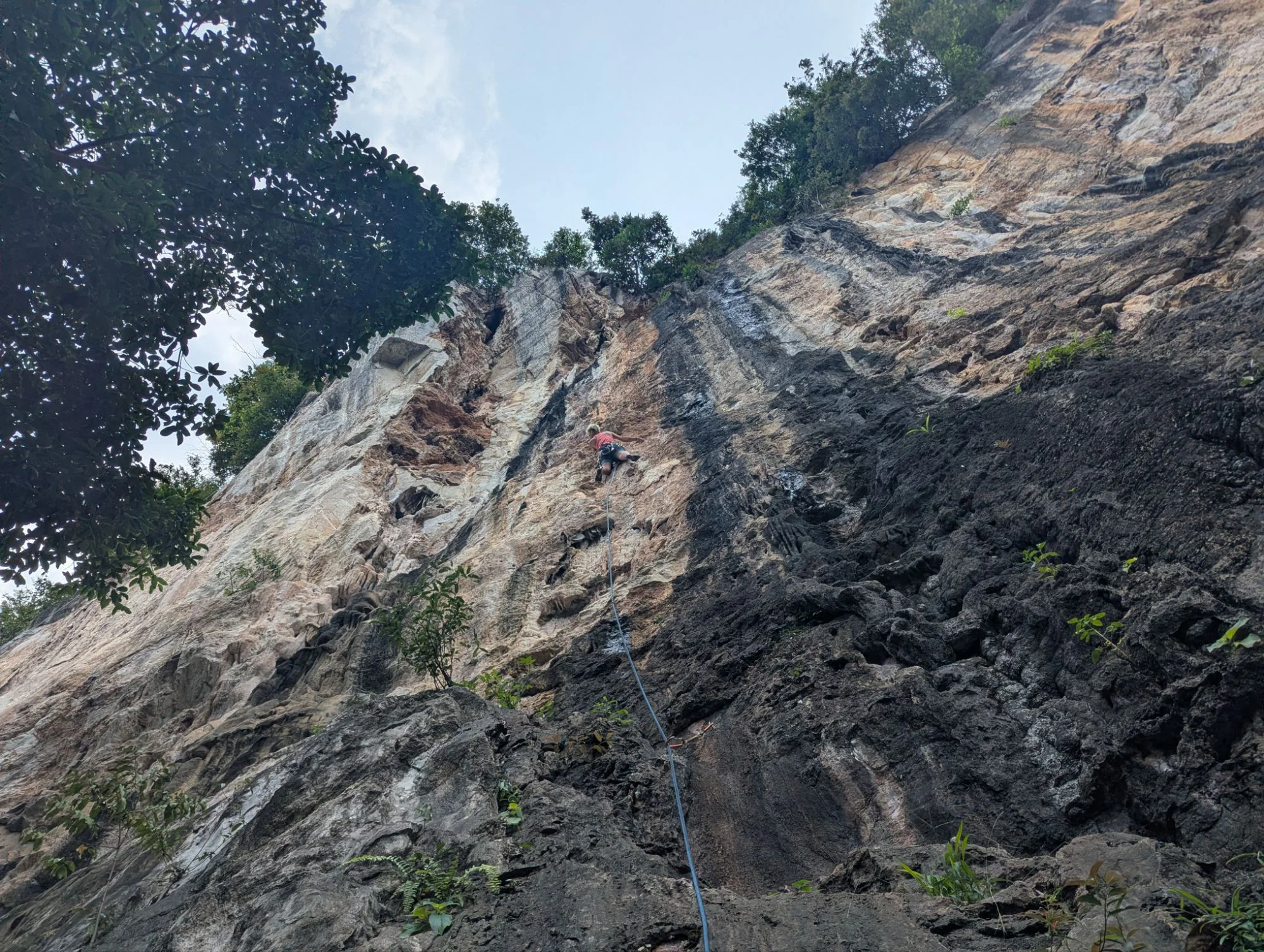 Back in Kazakhstan, we decided to go to Malaysia because there were a lot of climbing routes. More than in Vietnam for example. After we arrived, we found out that one of the biggest climbing areas close to Kuala Lumpur called Bukit Takun (open on thecrag.com) recently became unaccessible.  So we started trying out the other climbing sectors of the Batu Caves area in the north of Kuala Lumpur.  The wall of the Nyamuk (open on thecrag.com) was very beautiful and pretty high 🚀