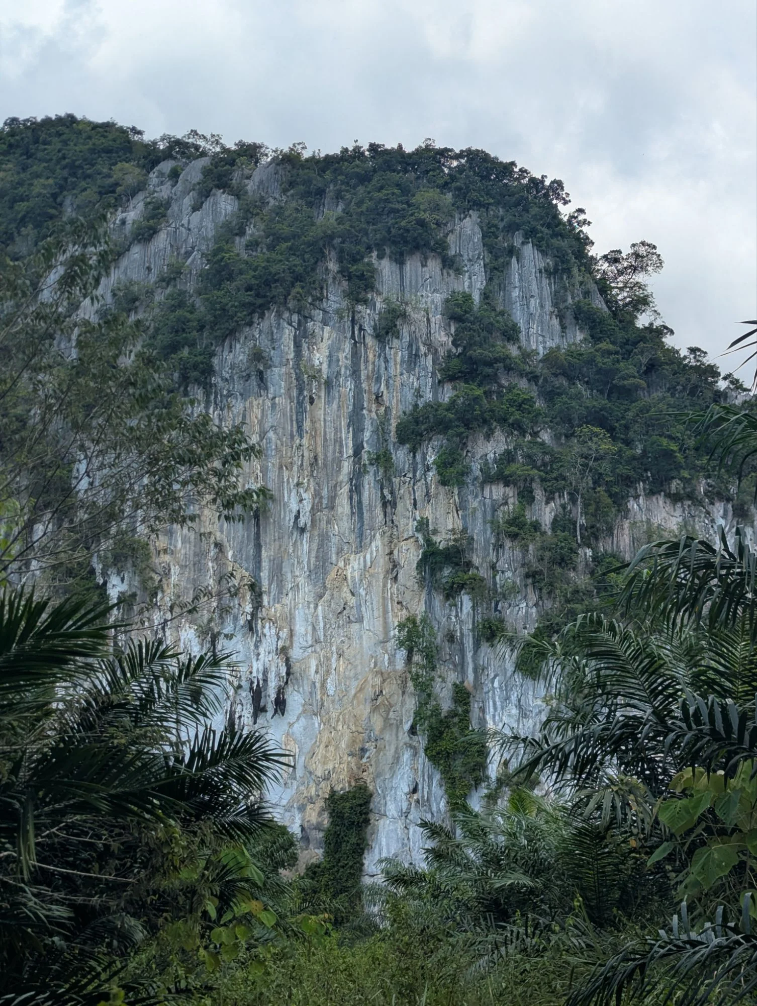 Gua Bekong was the next climbing sector we visited.