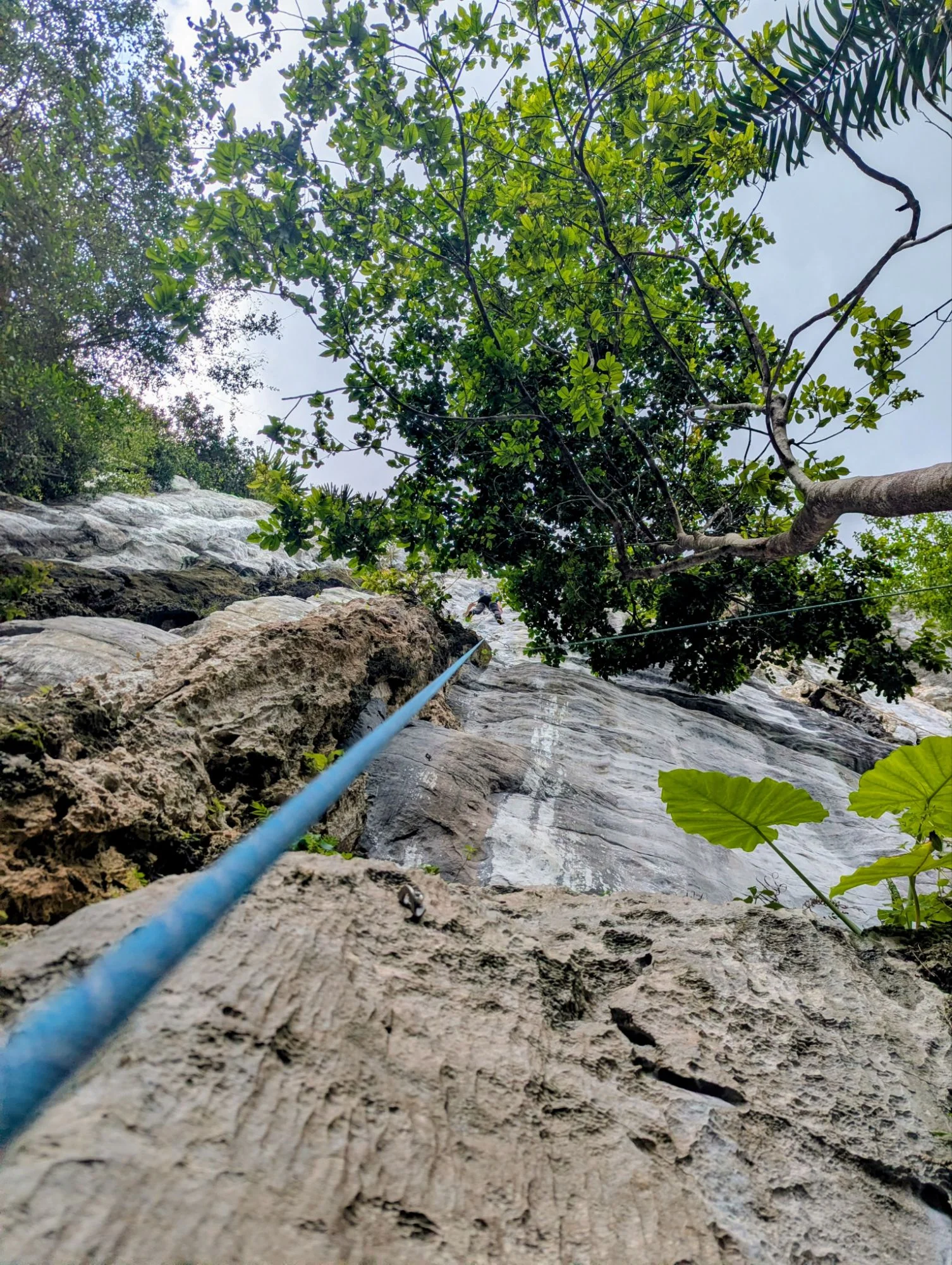 Climbing was awesome 🥳