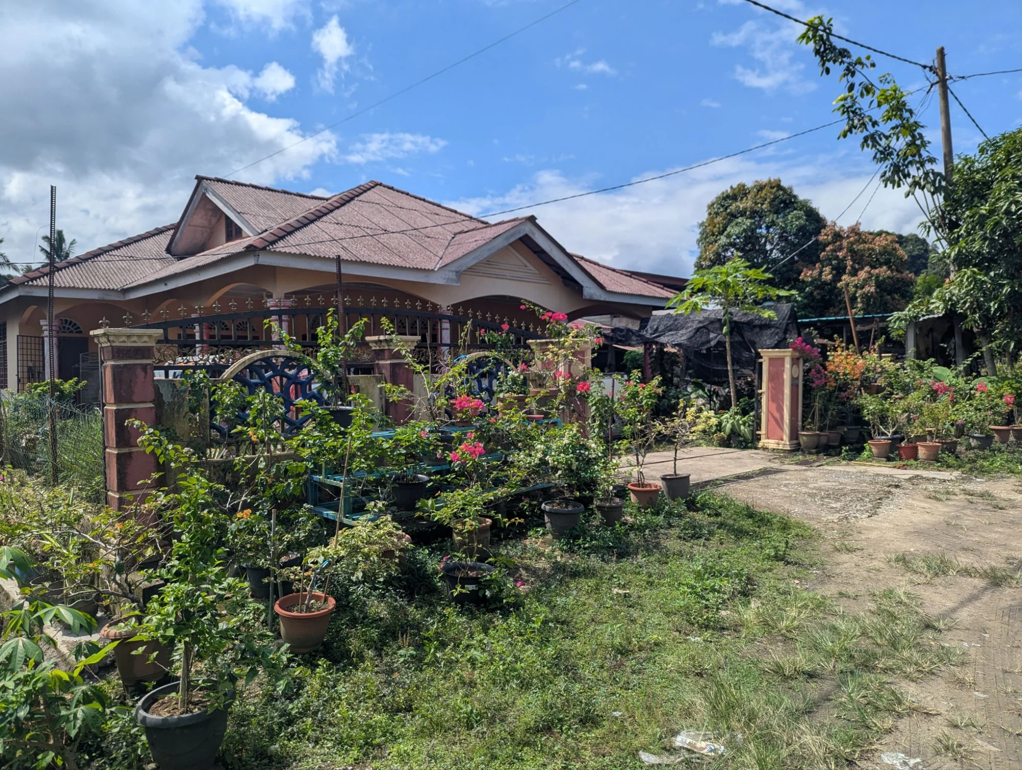 On our walks to the different climbing sectors we saw a lot of beautiful Malay homes with beautiful gardens 🌺