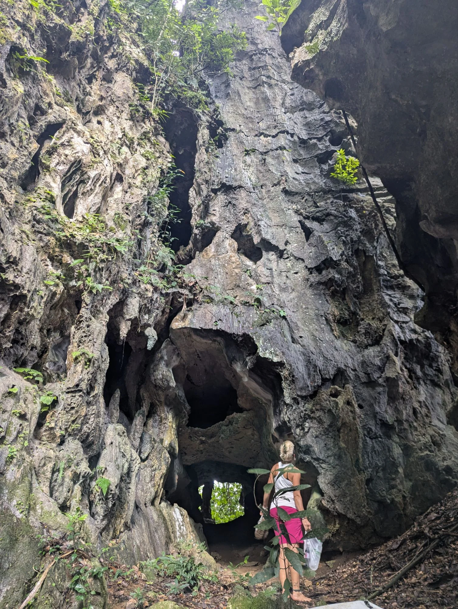 From Gua Musang we went to Merapoh which was close by and a village known for being close to the biggest Taman Negara (national park) in Malaysia and the caving possibilities.