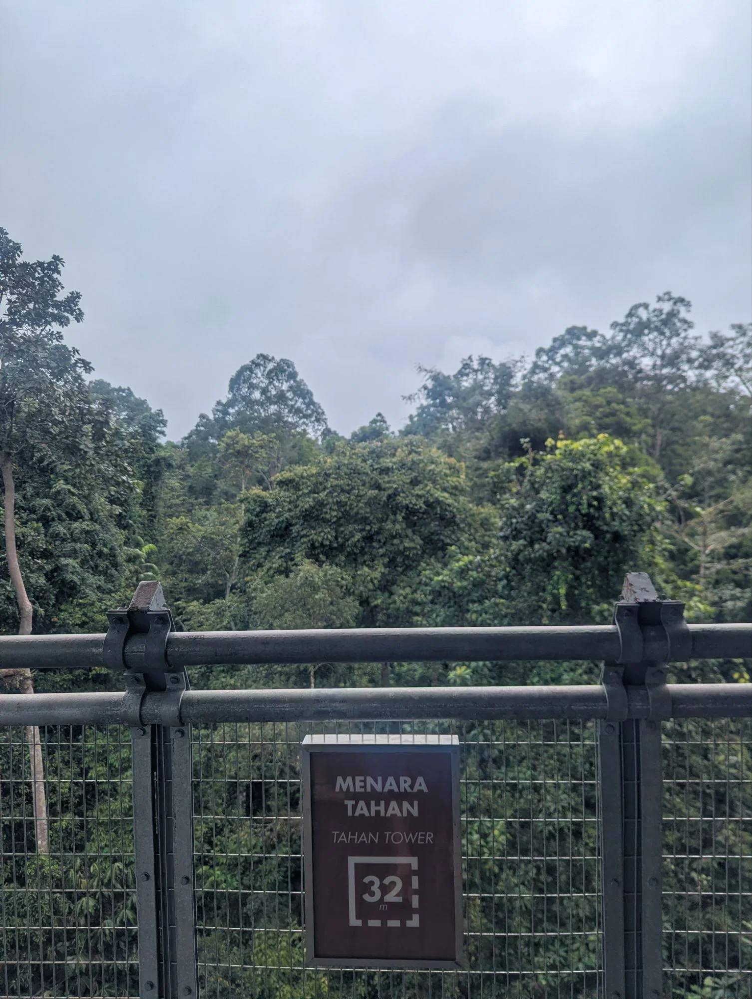 And the highest platform was 32 meters high 🤩