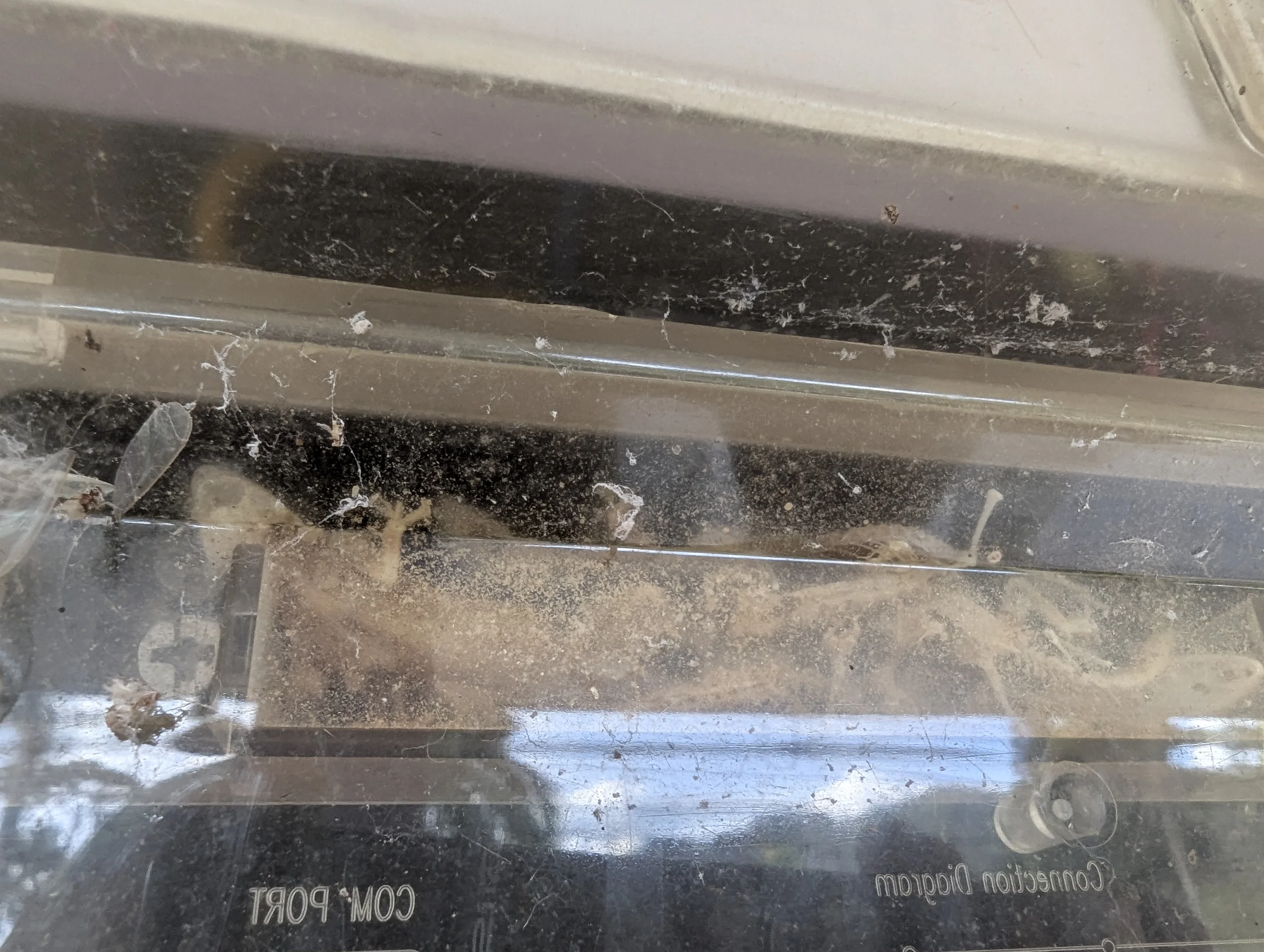 Our accommodation was very nice but the geckos did not enjoy their stay so much. At least not the ones getting trapped in the fuse box.