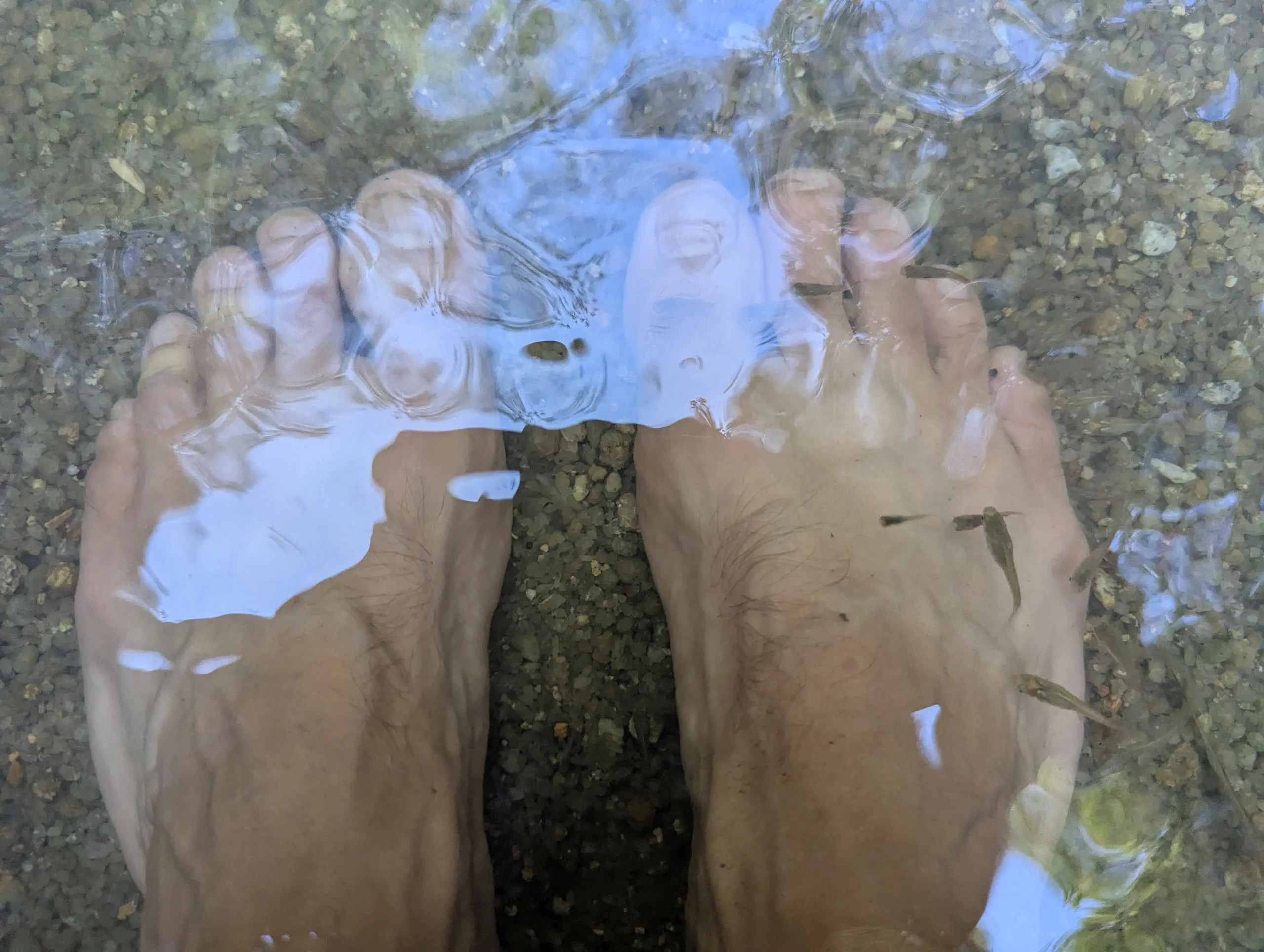 Had our feet cleaned.