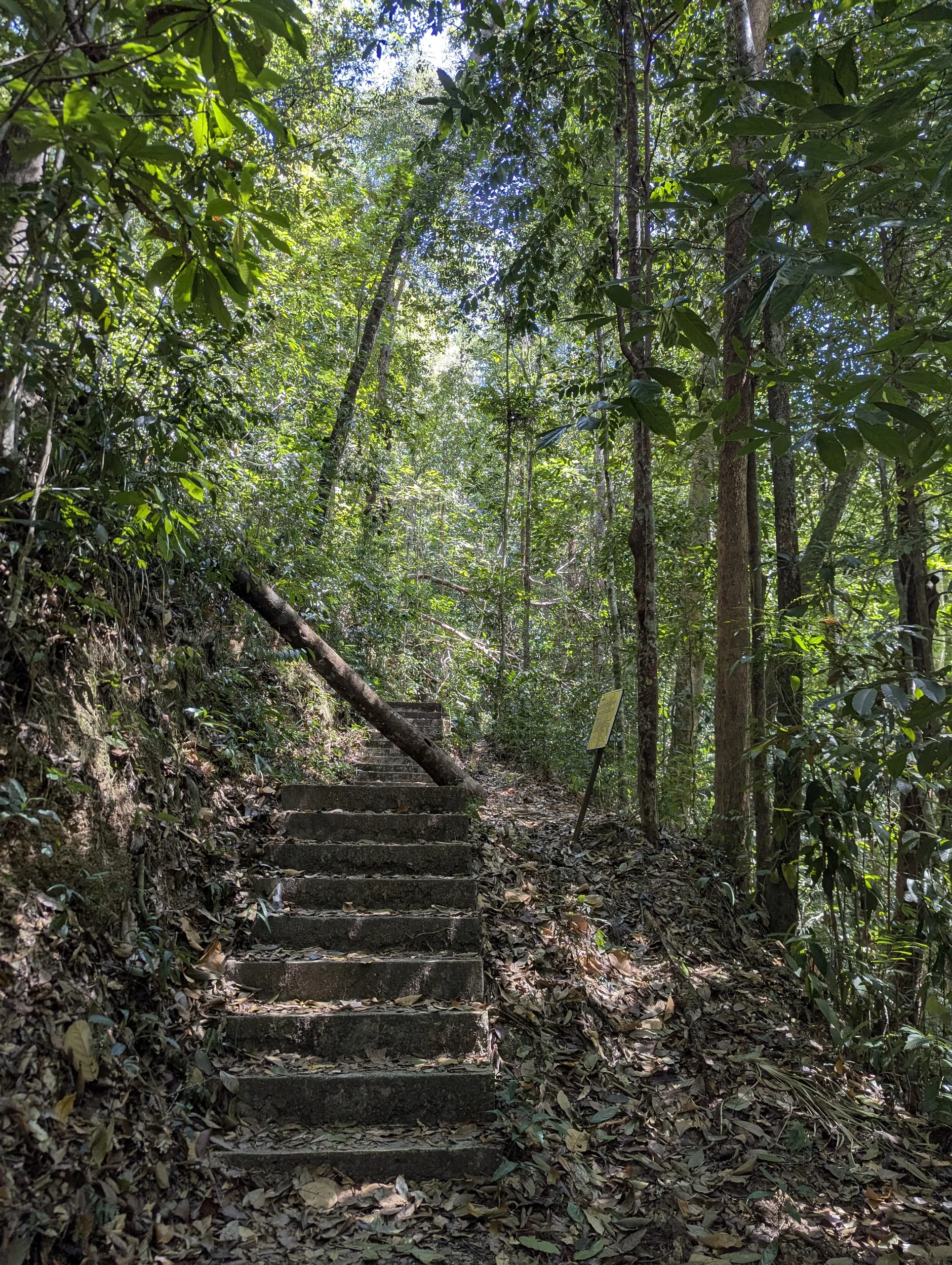 The hike was interesting and nice and it felt very good to have some exercise-like movement again.
